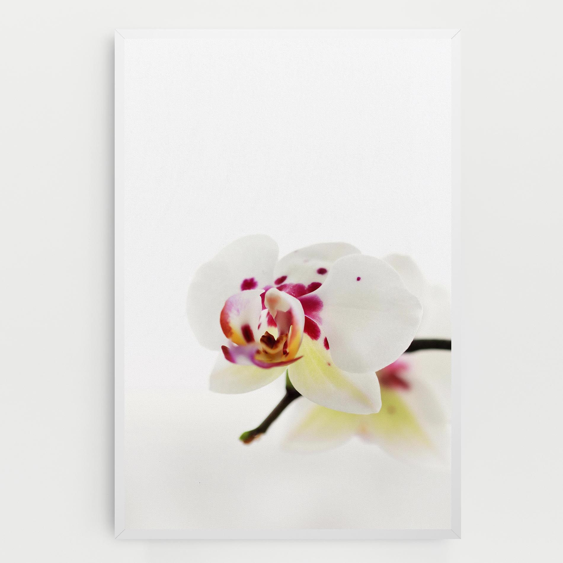 Clean White Orchid mockup 0