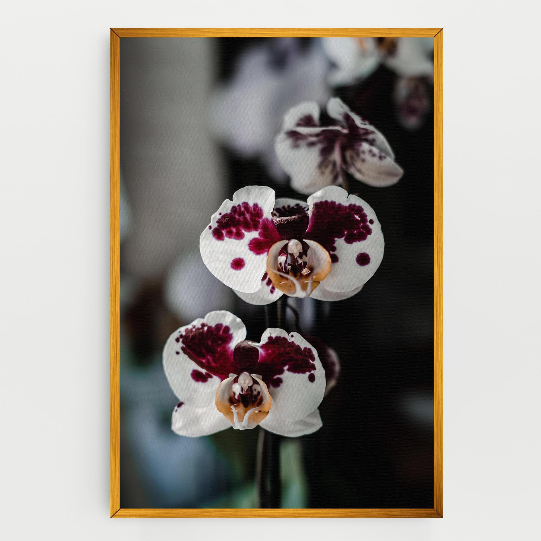 Картина на платно Dark Purple Orchid mockup 0