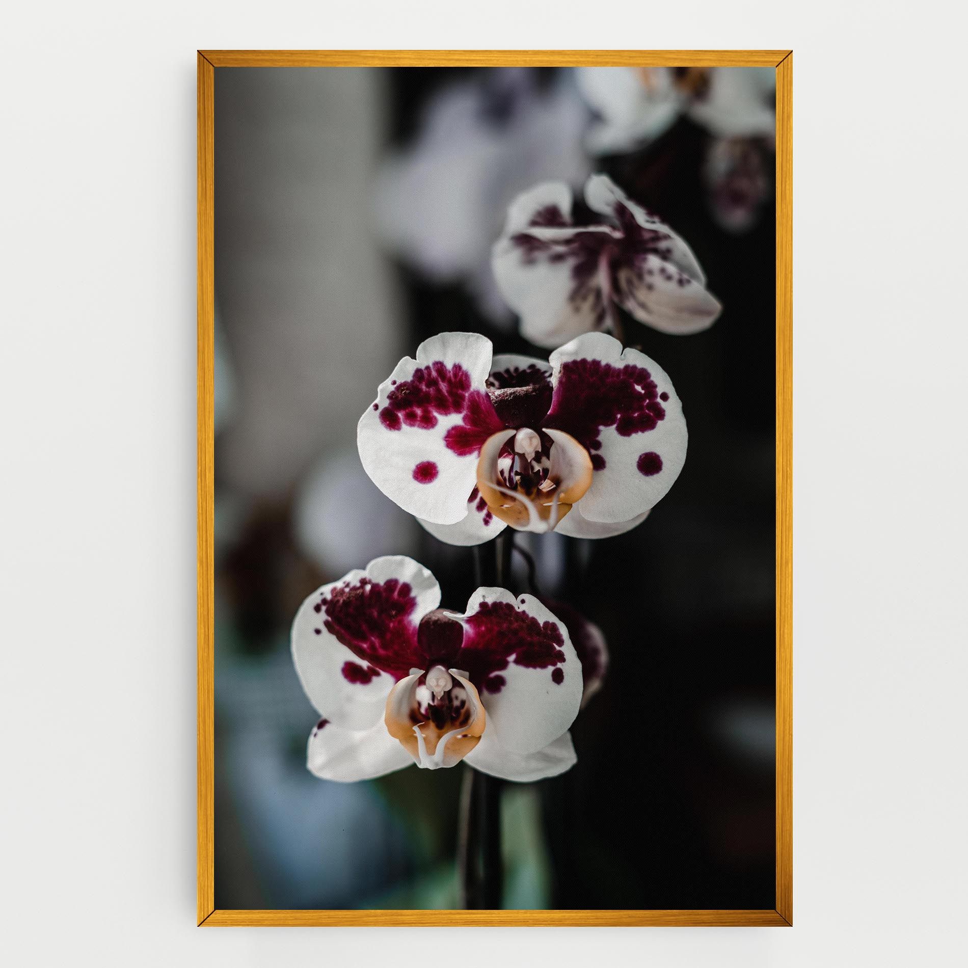 Dark Purple Orchid mockup 0