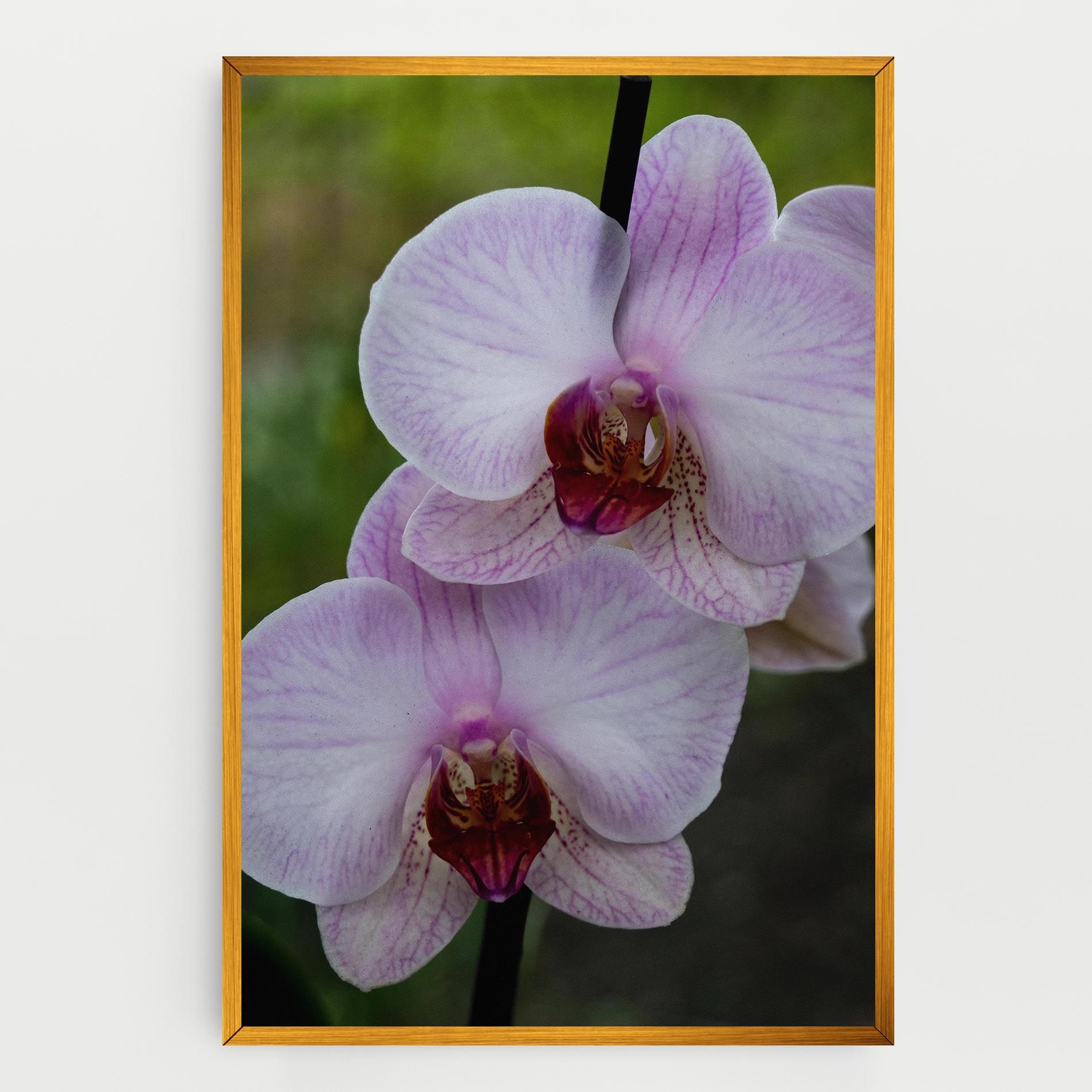 Garden Light Purple Orchid mockup 0