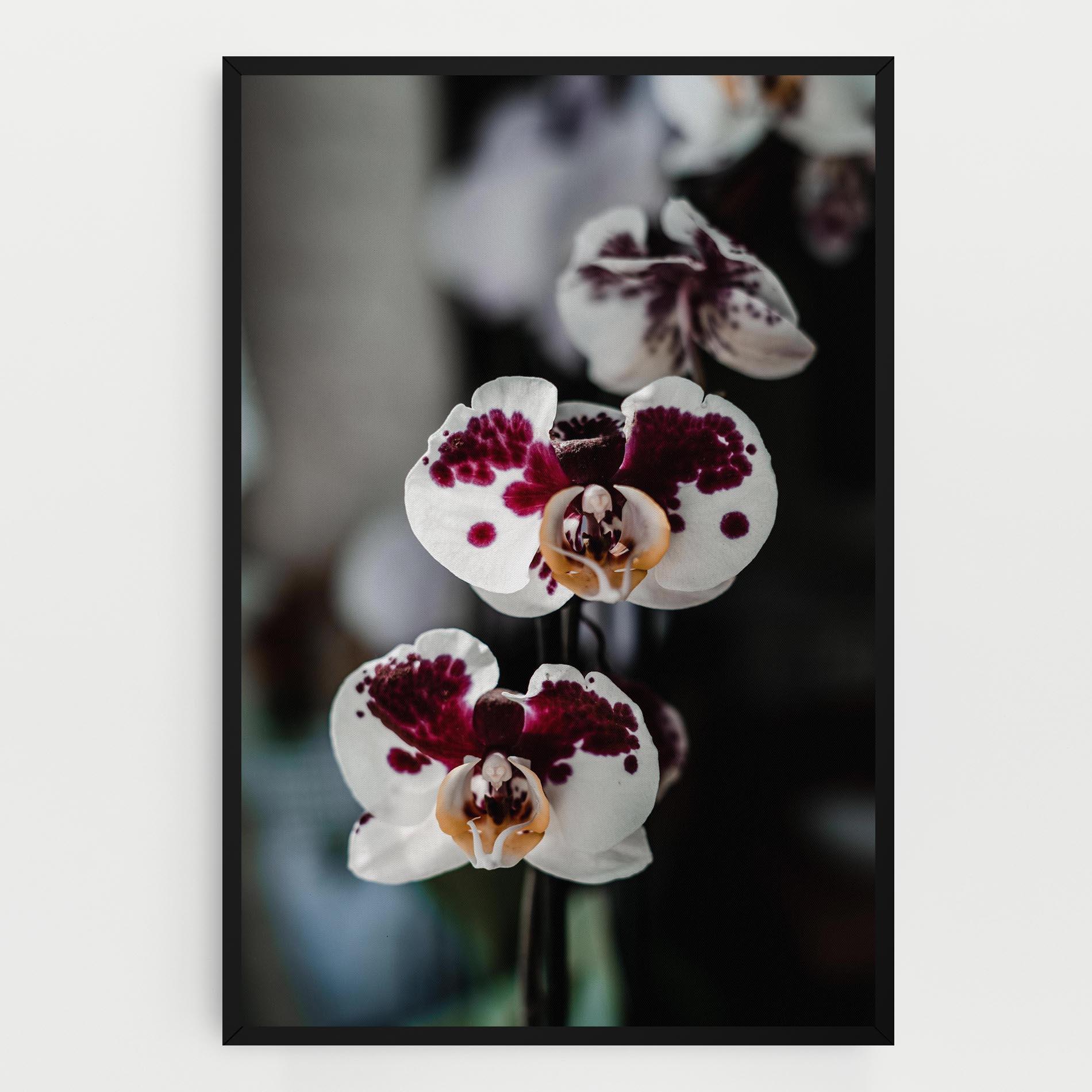 Картина на платно Dark Purple Orchid mockup 0