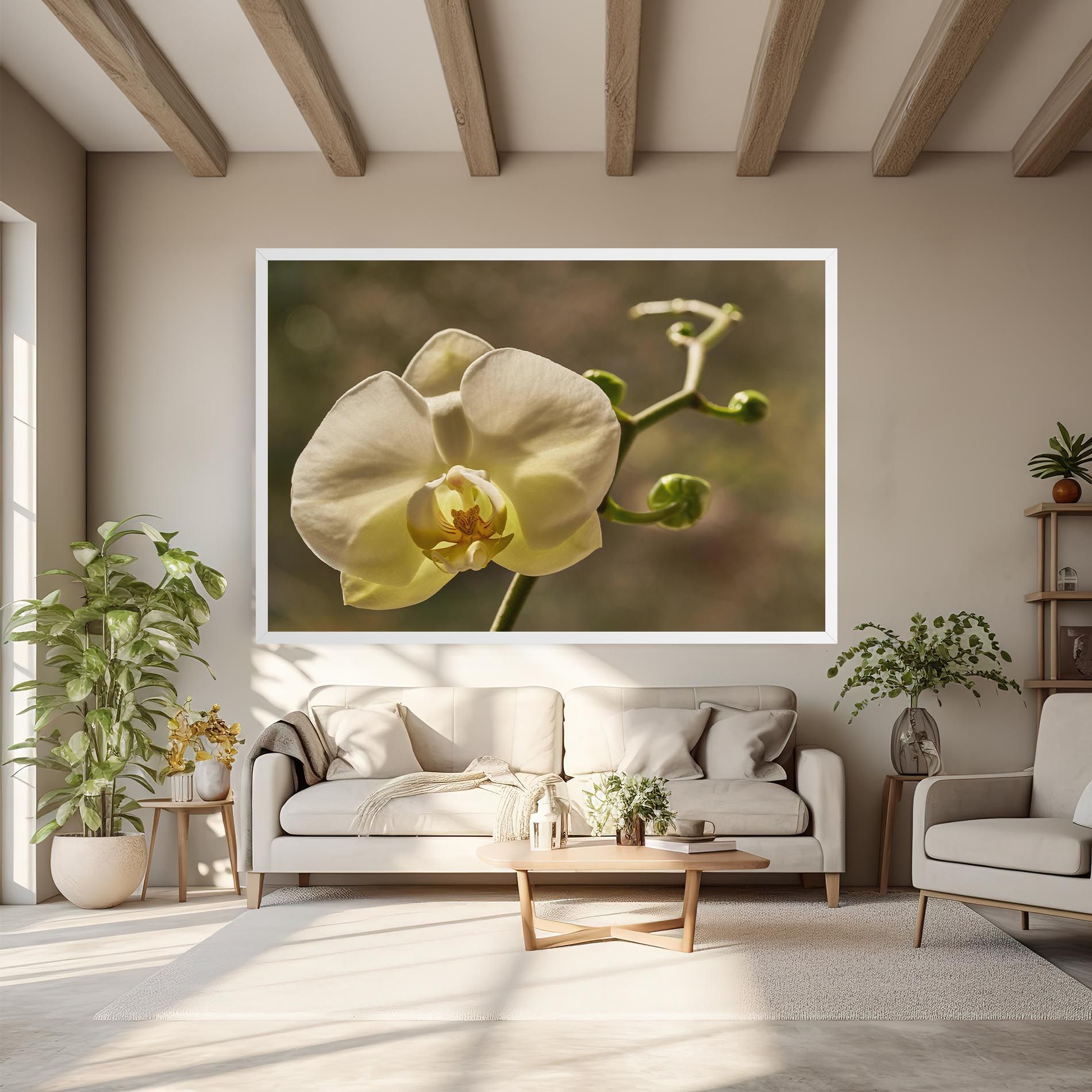 Pastel Yellow Orchid In Garden mockup 6