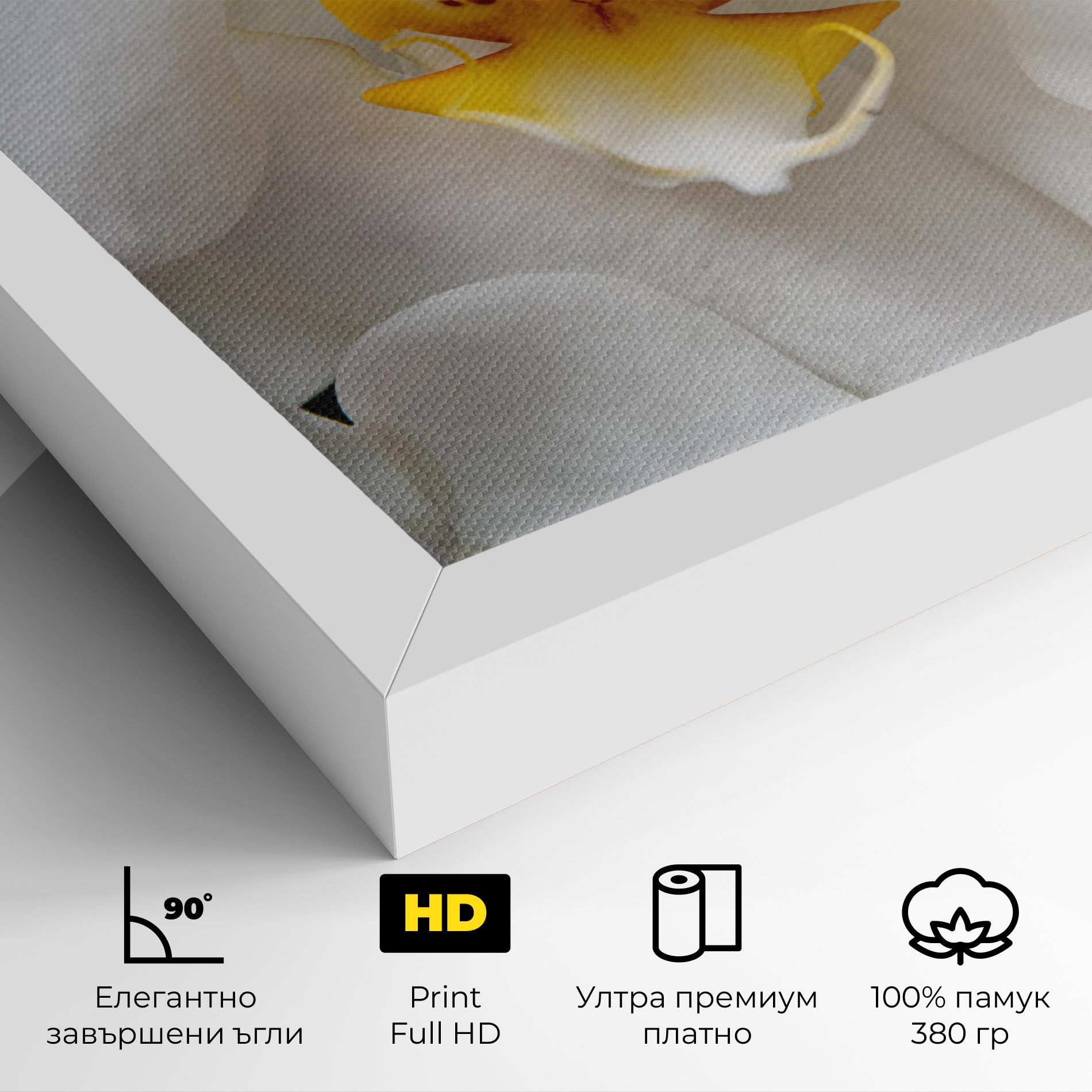 Big Orchid Close Up mockup 4