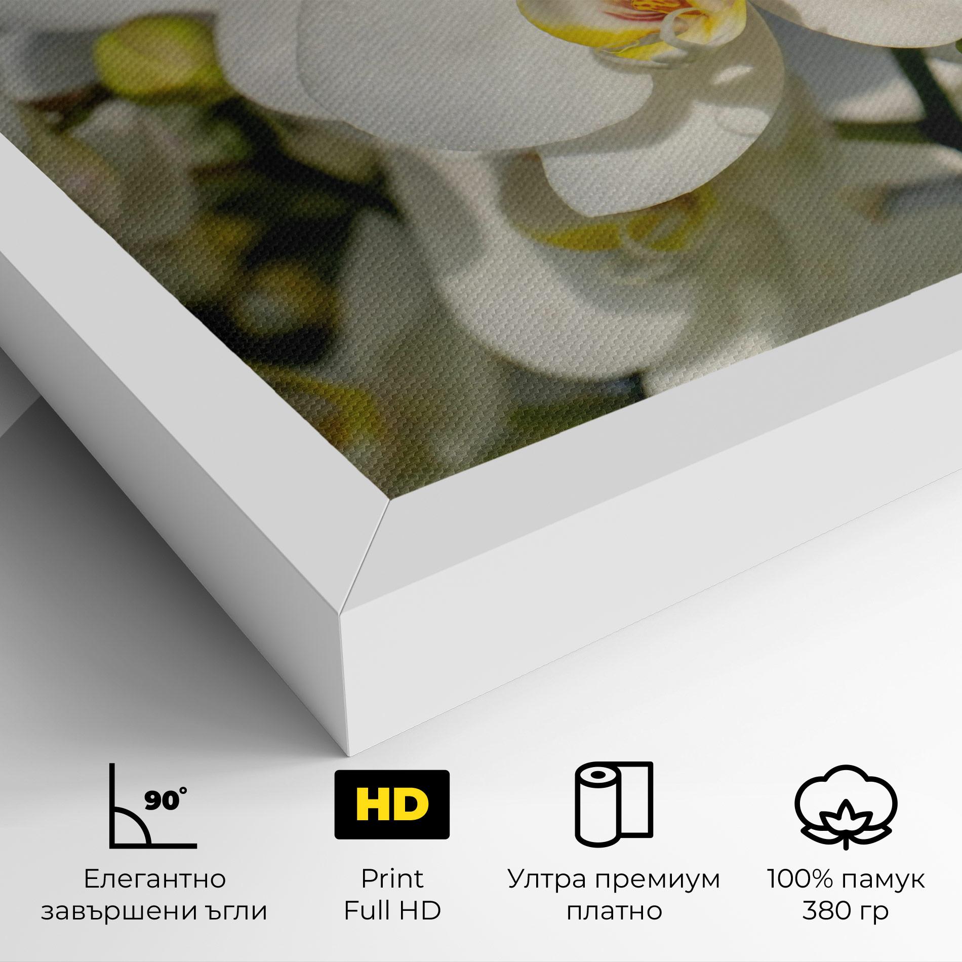 Картина на платно Big Orchids In Nature mockup 4