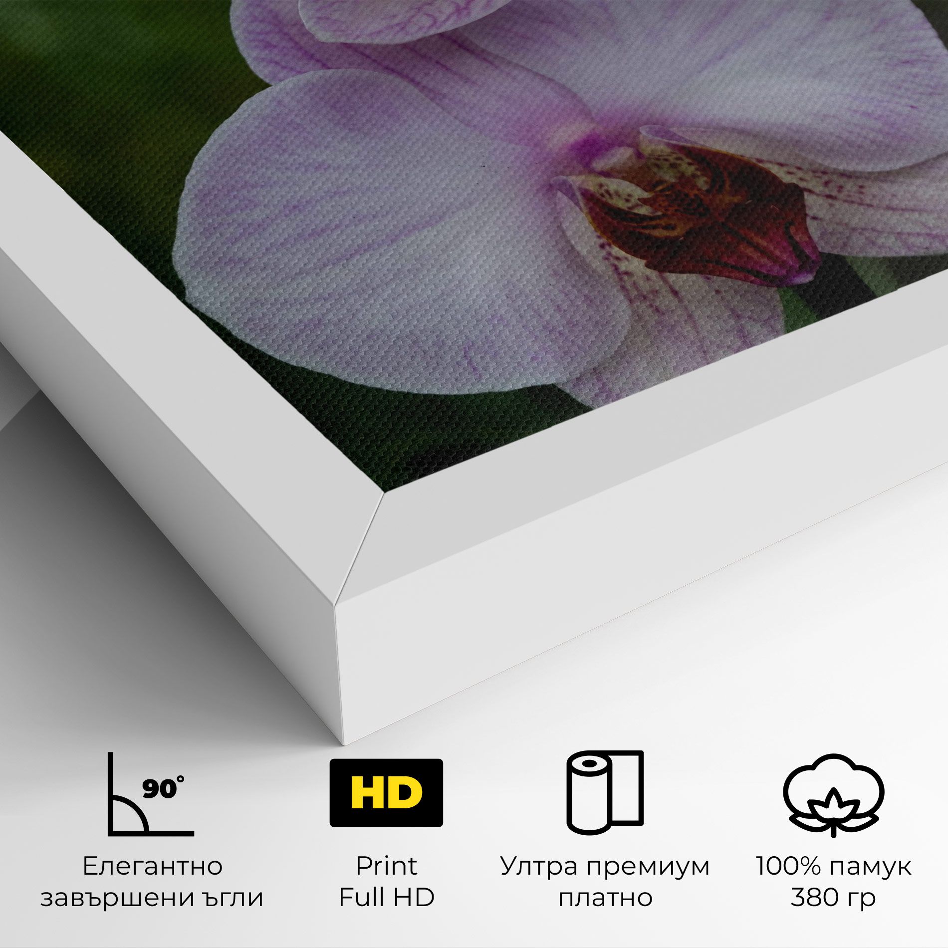 Garden Light Purple Orchid mockup 4