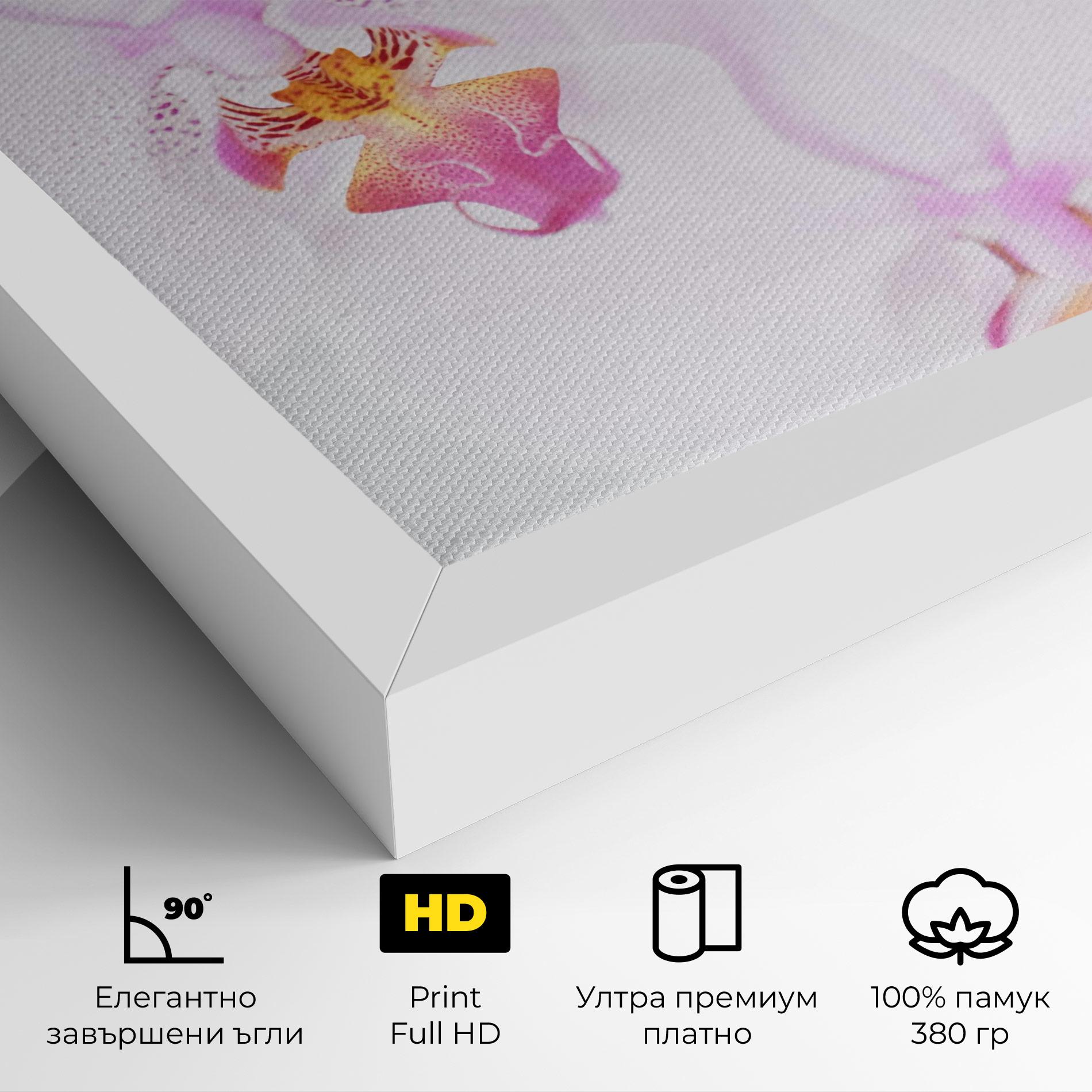 Картина на платно Light Purple Orchid mockup 4