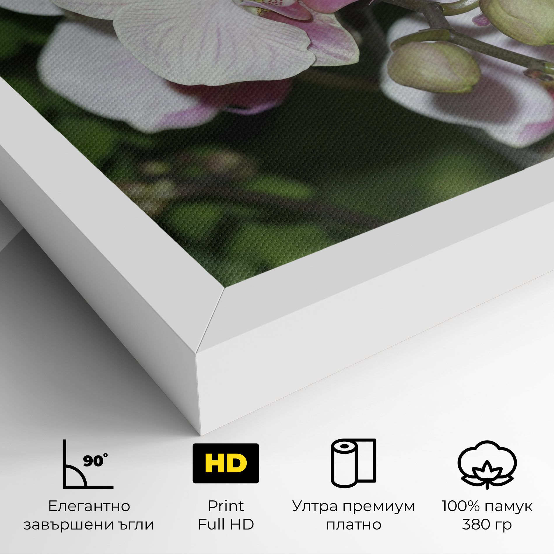 Orchid Botanical Garden mockup 4