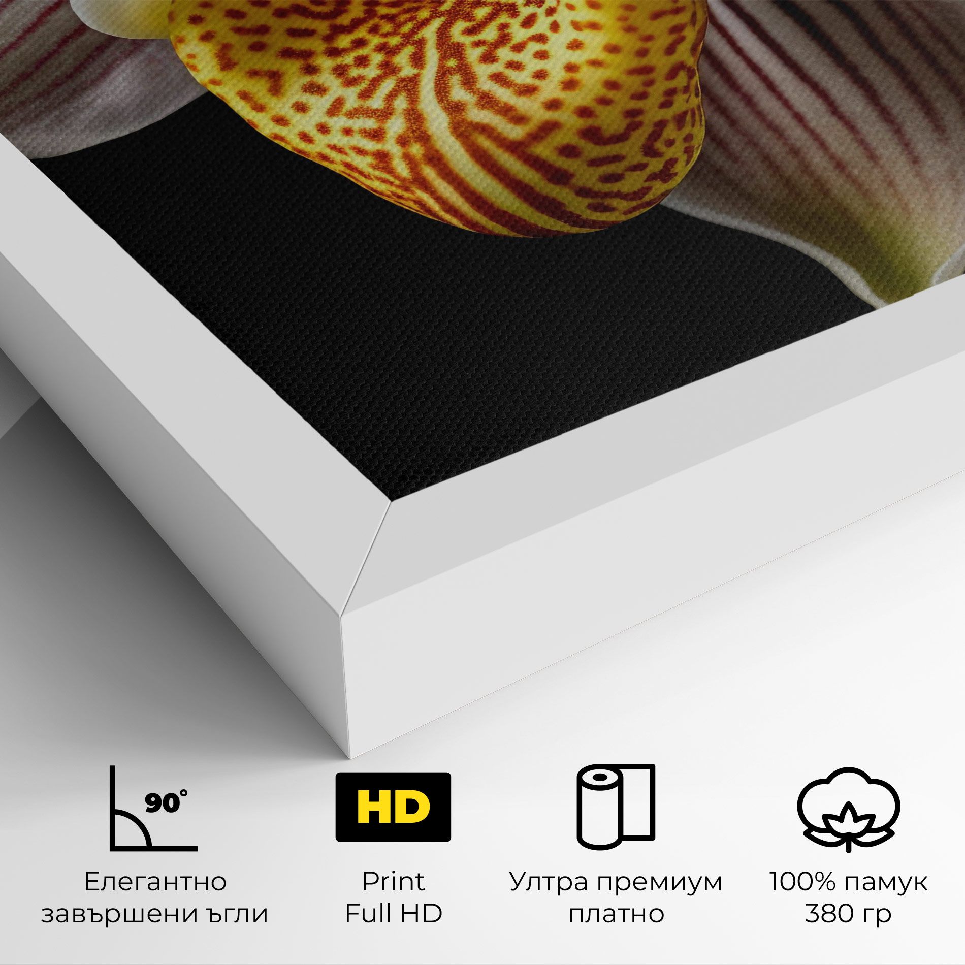 Orchid On Black mockup 4