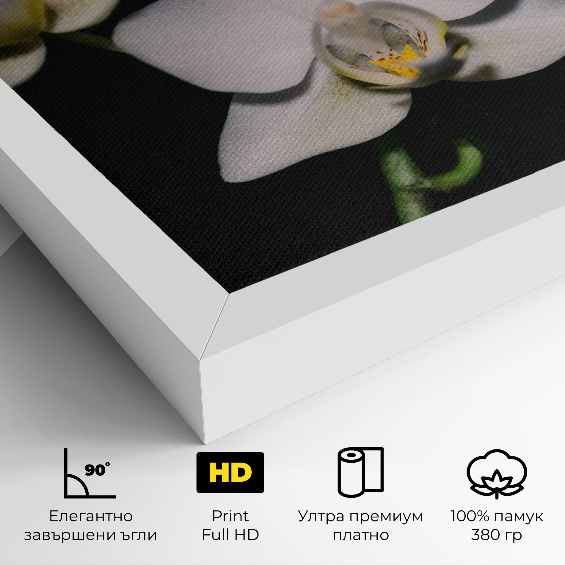 Orchids On Black mockup 4