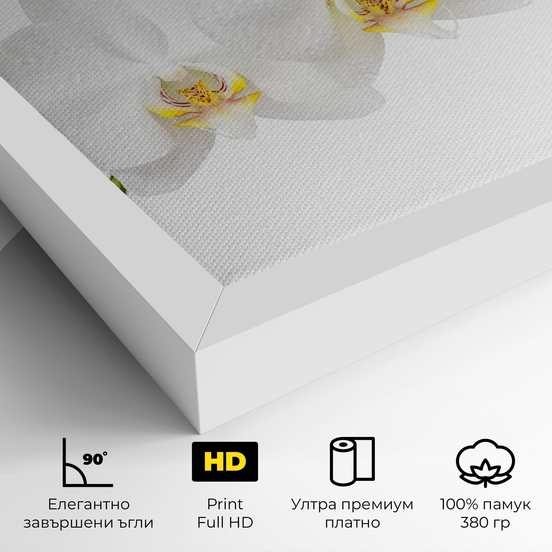 Картина на платно Orchids On White mockup 4