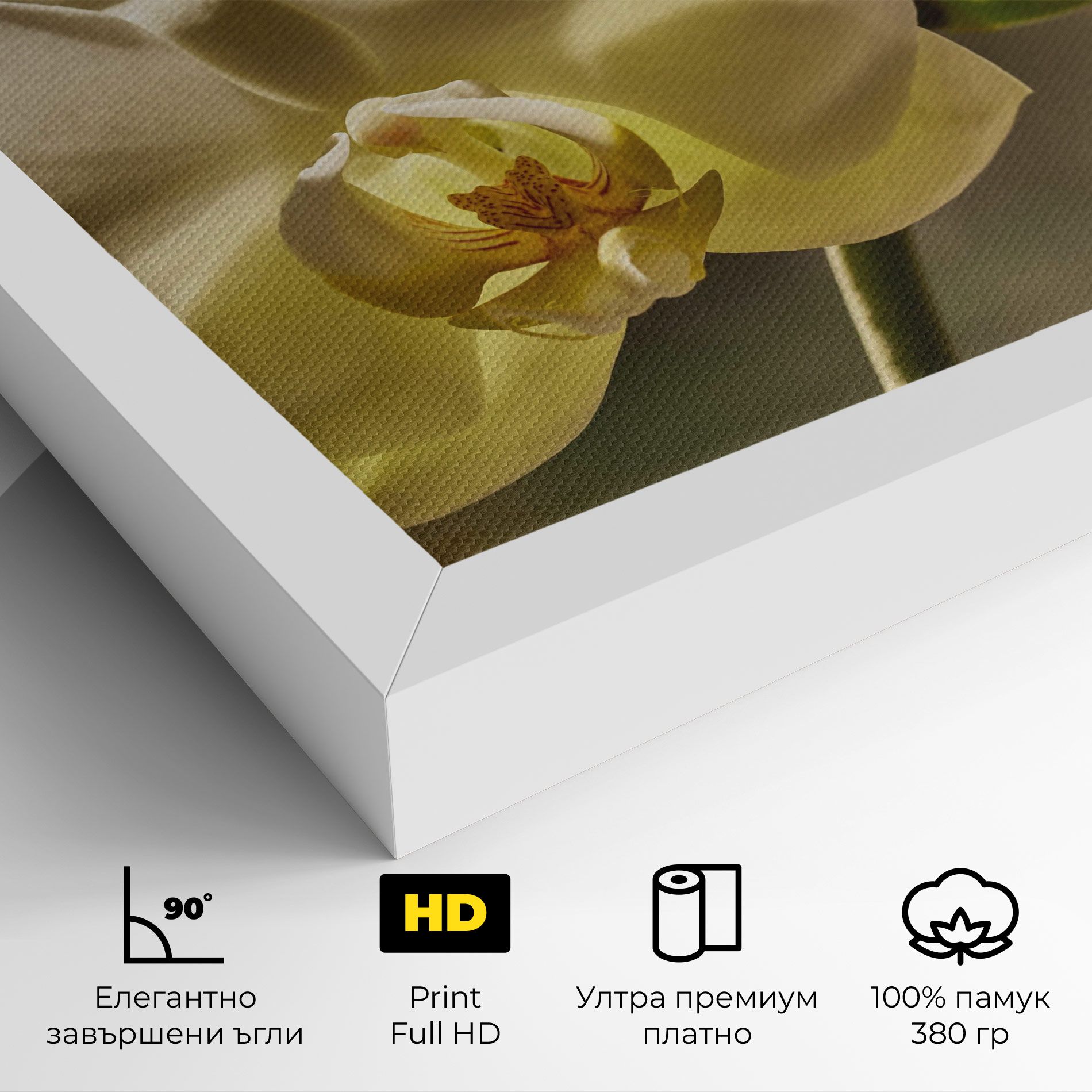 Pastel Yellow Orchid In Garden mockup 4