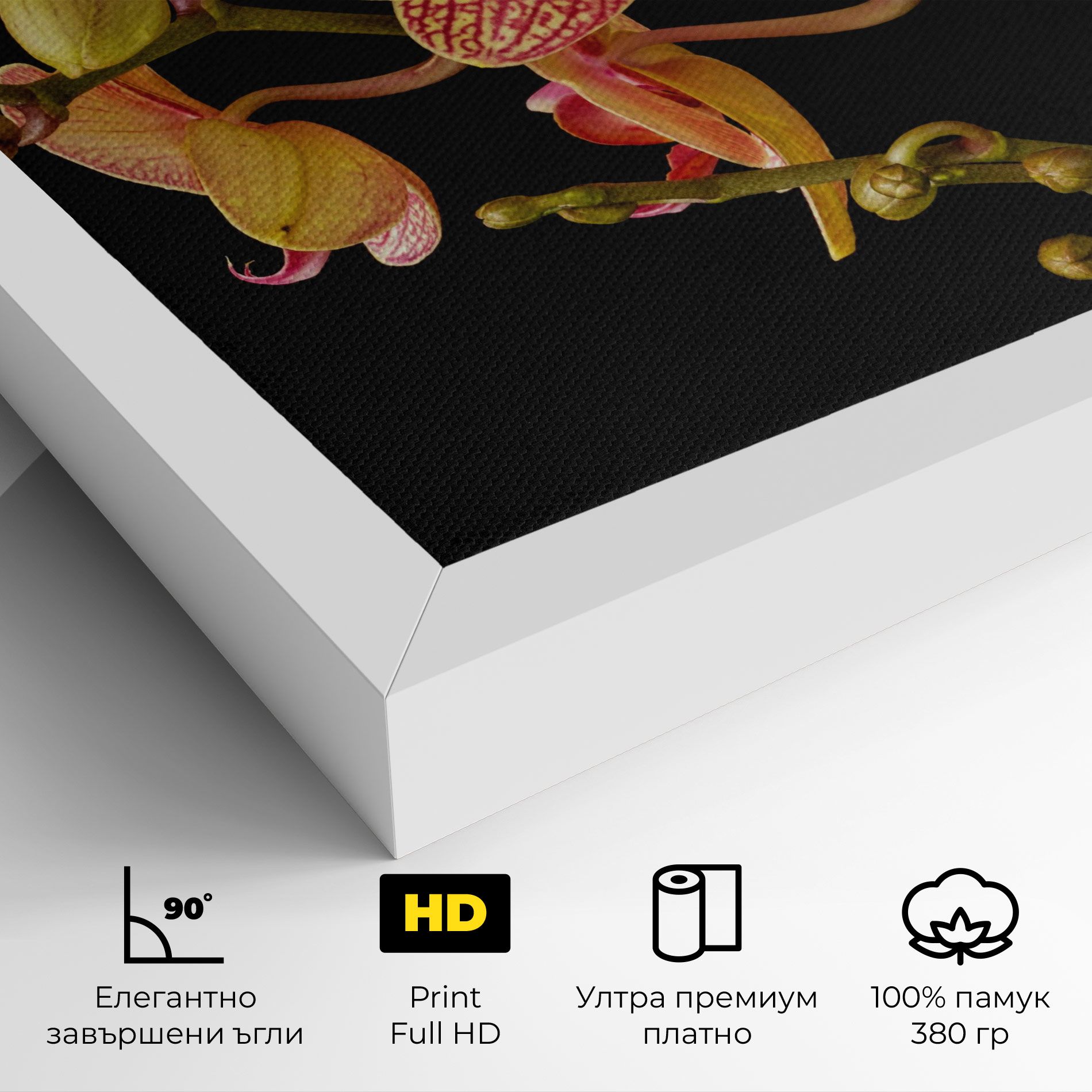 Pink Orchids On Black mockup 4