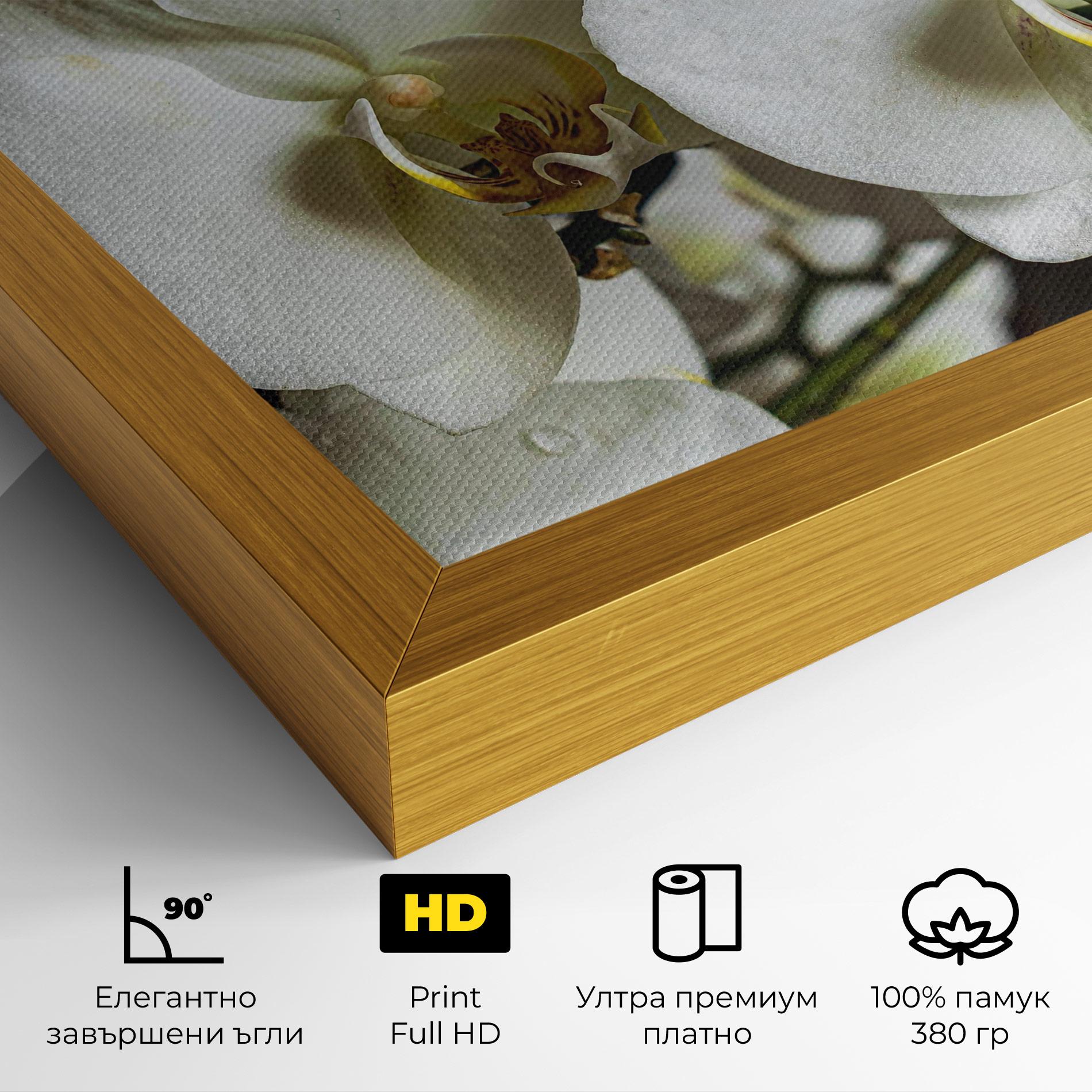 Картина на платно Beautiful White Orchids mockup 4