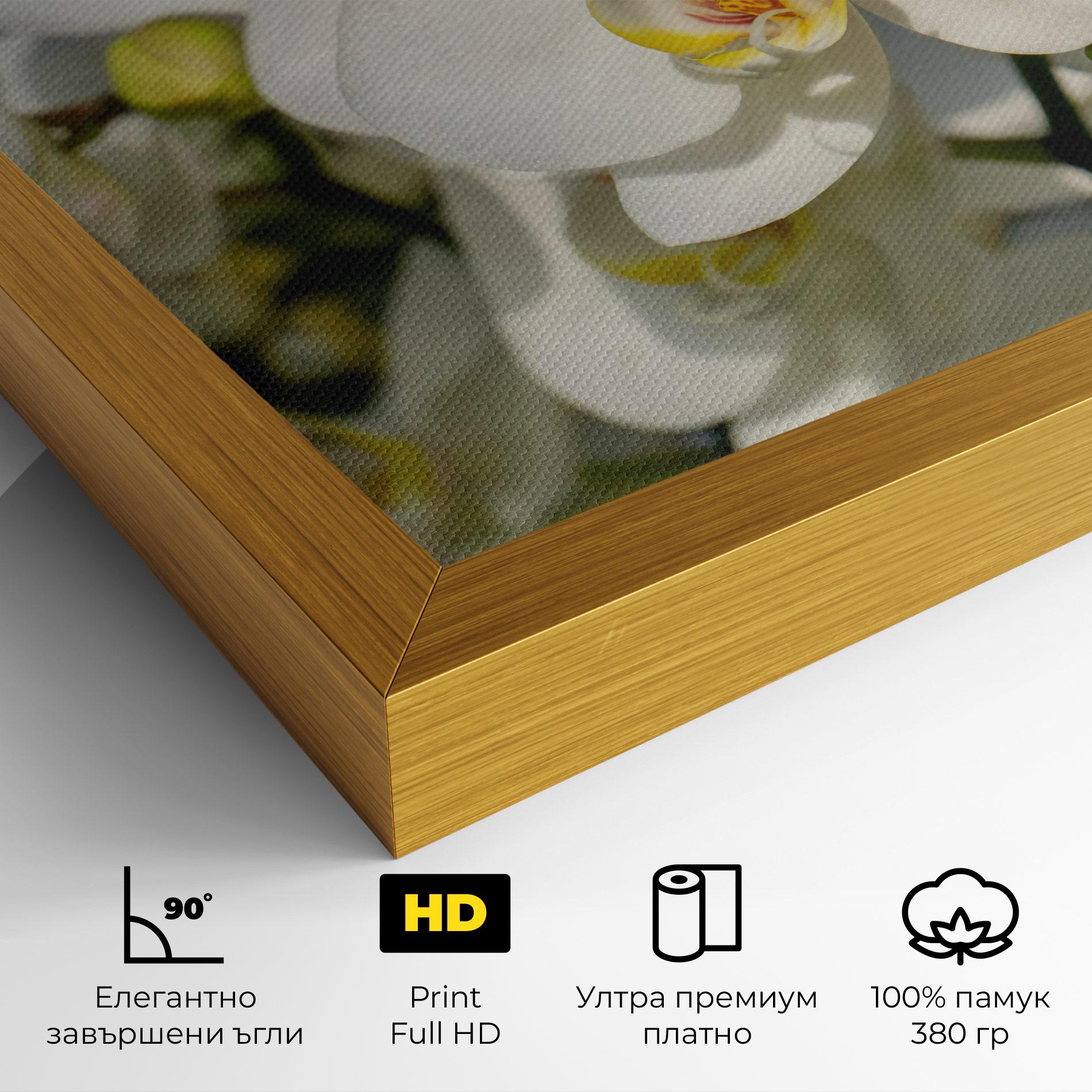 Картина на платно Big Orchids In Nature mockup 4