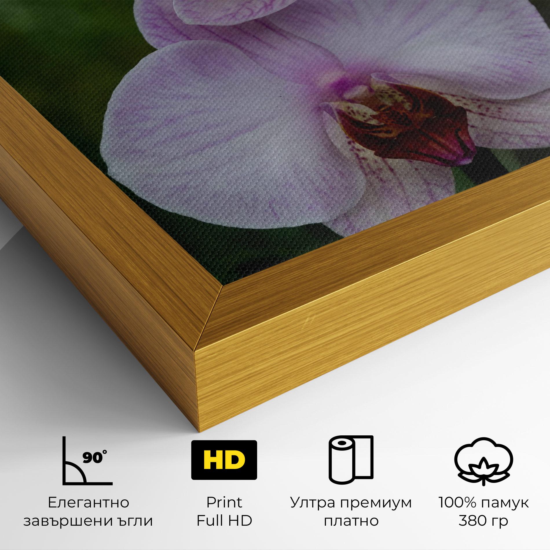Картина на платно Garden Light Purple Orchid mockup 4