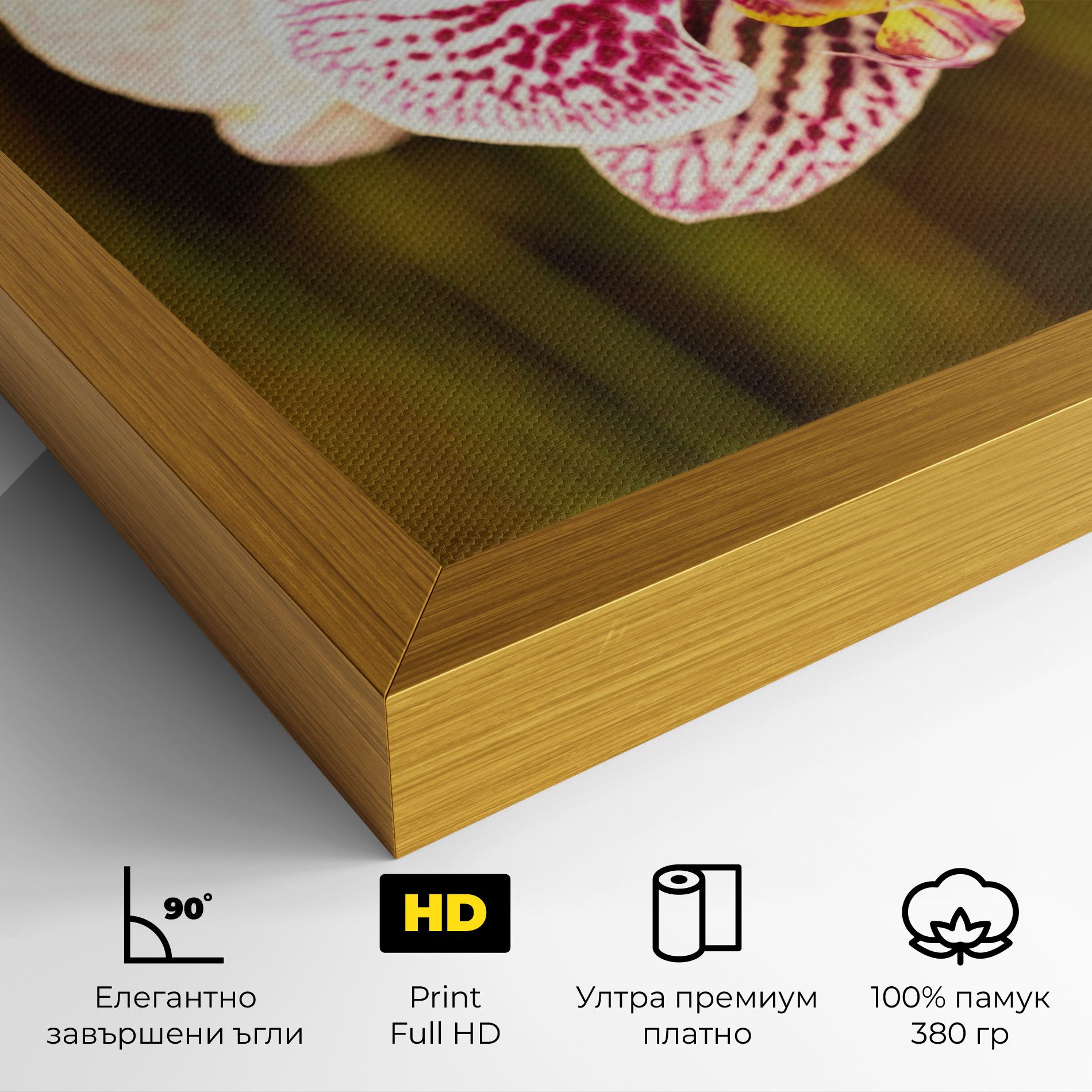 Garden Orchids mockup 4