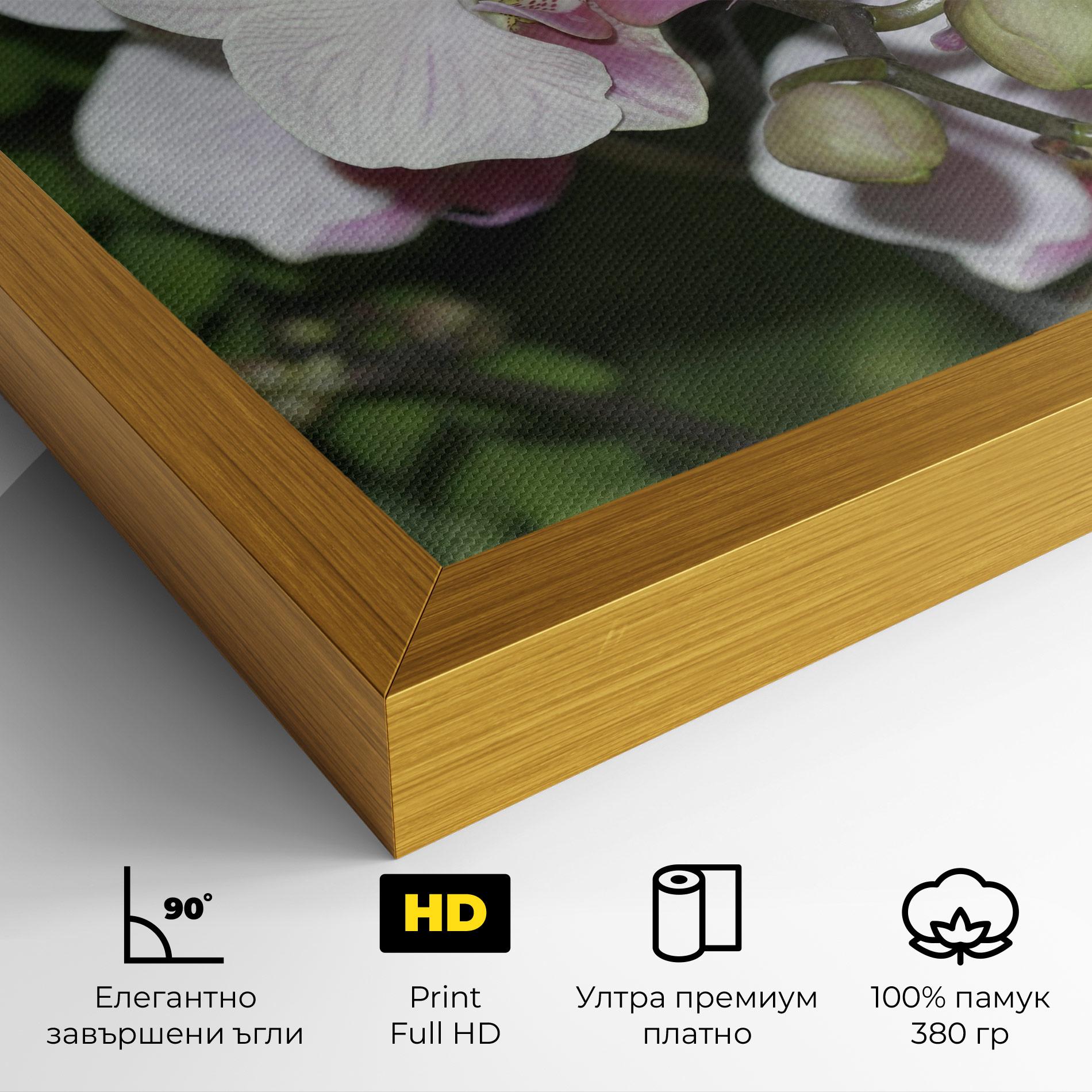 Картина на платно Orchid Botanical Garden mockup 4