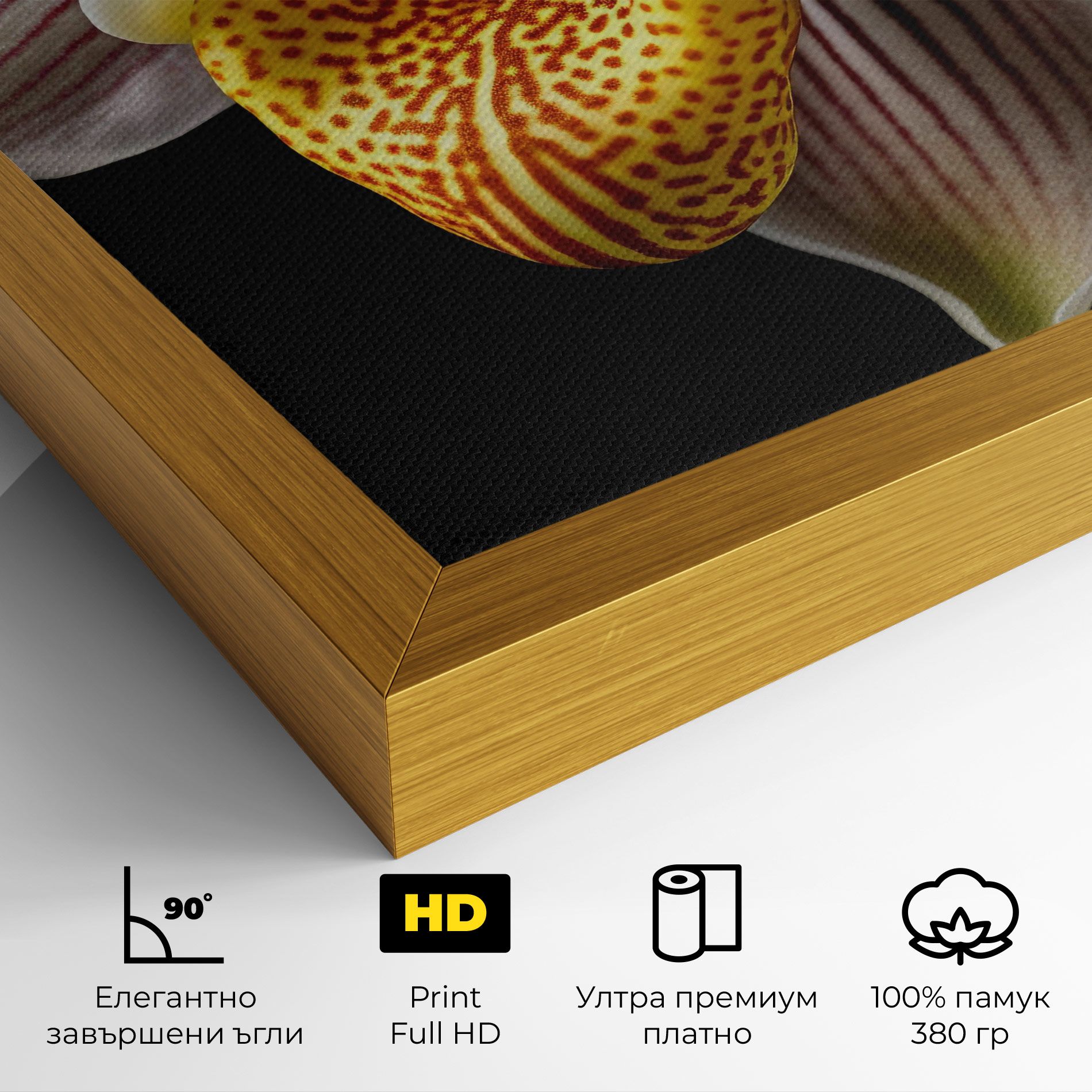 Orchid On Black mockup 4