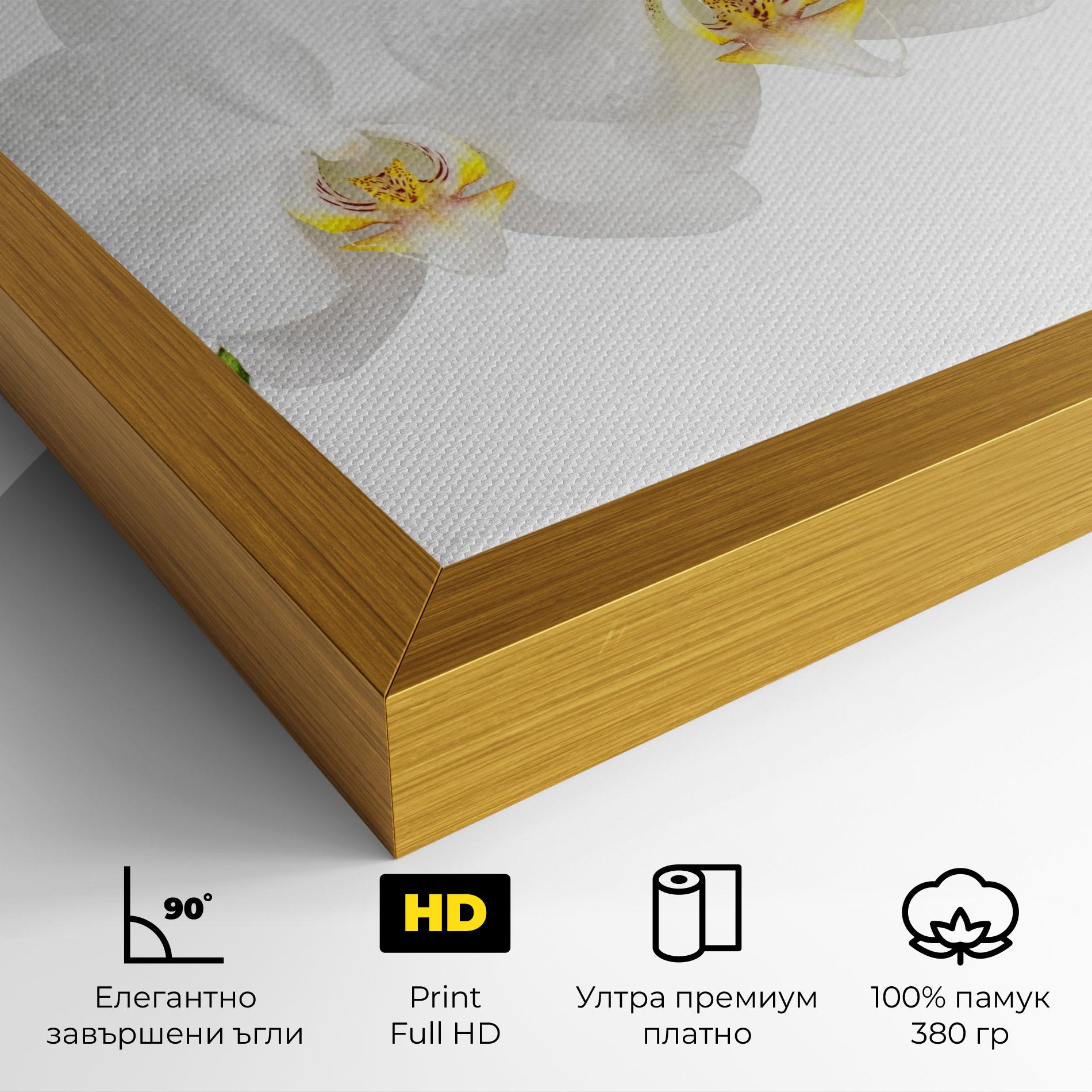 Картина на платно Orchids On White mockup 4