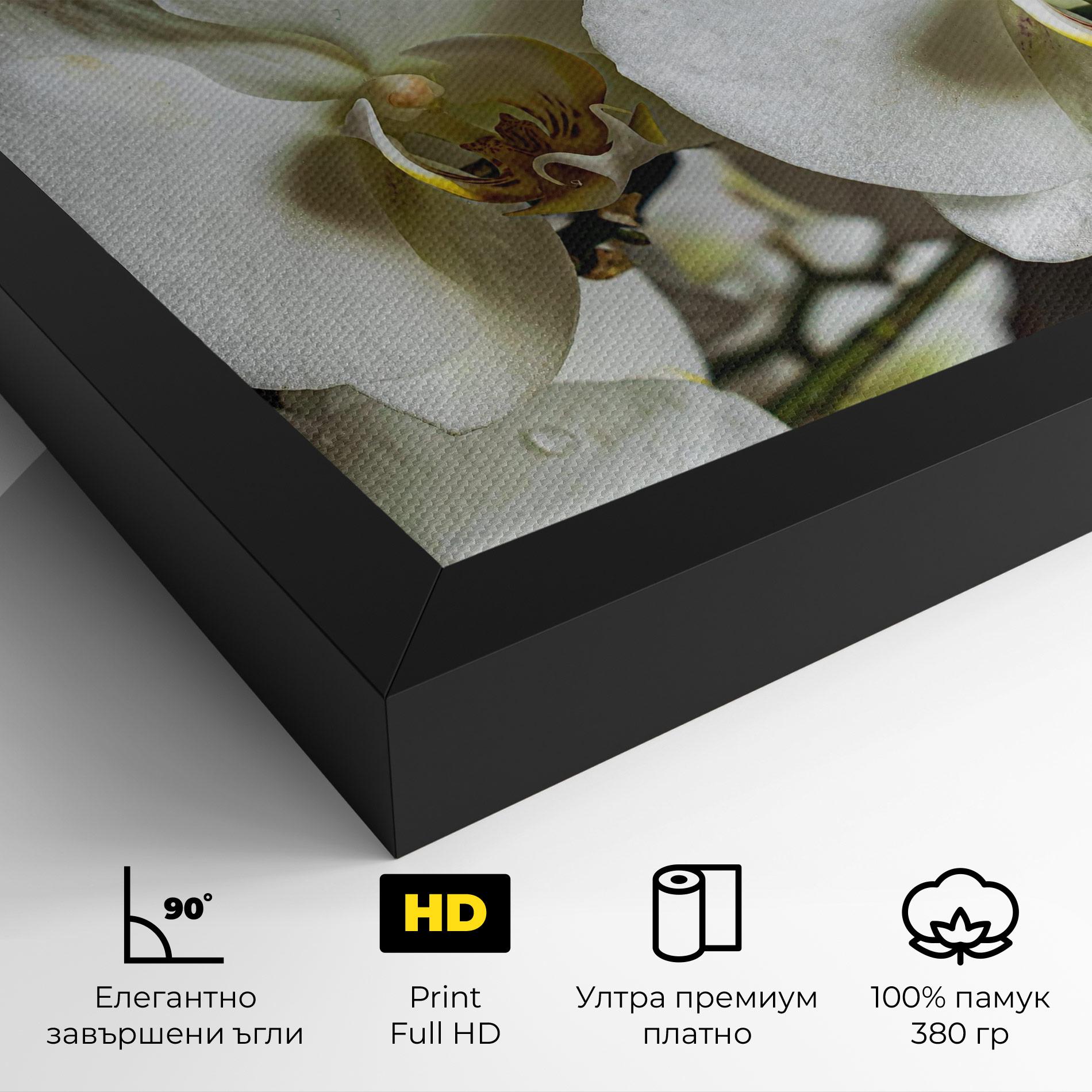 Картина на платно Beautiful White Orchids mockup 4