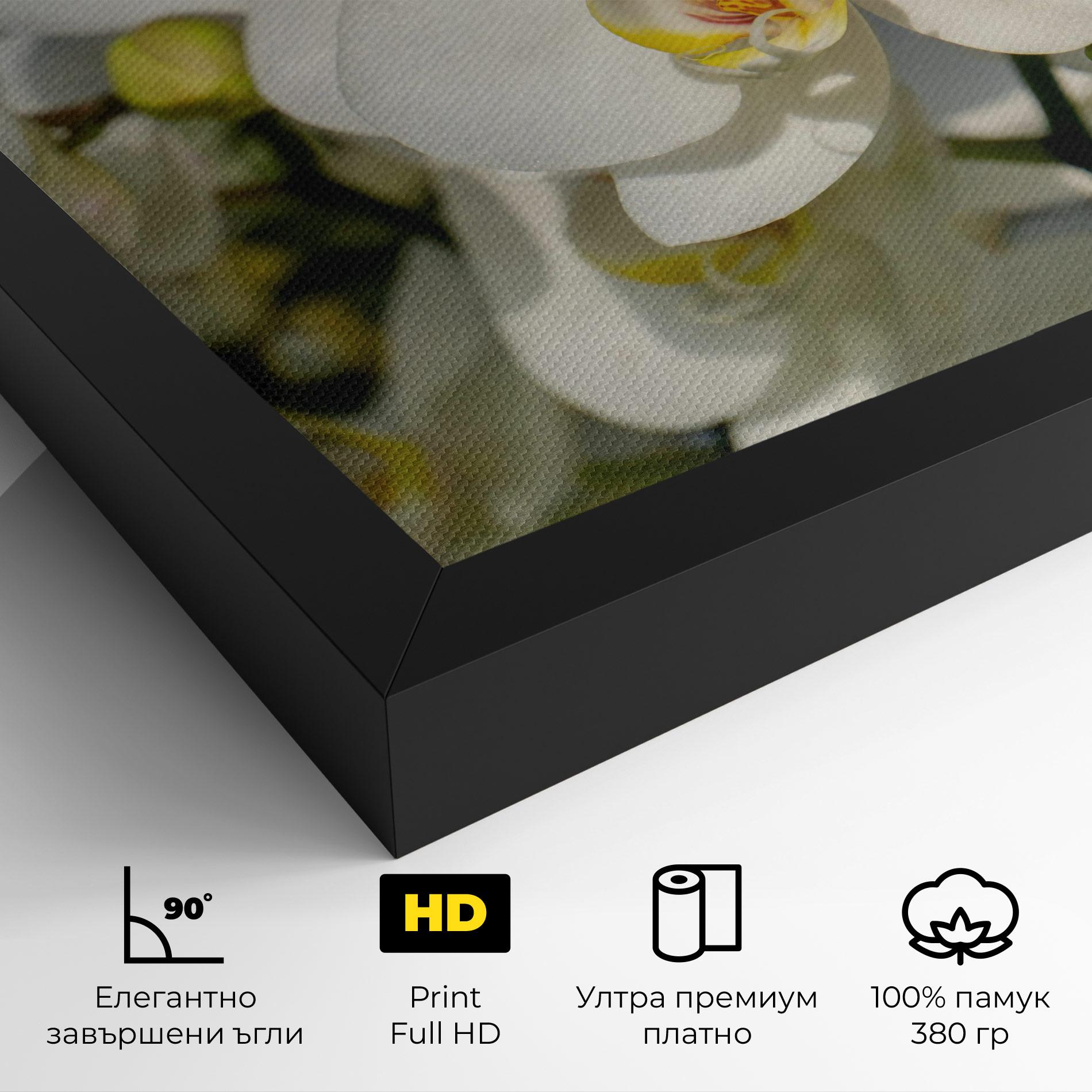 Картина на платно Big Orchids In Nature mockup 4
