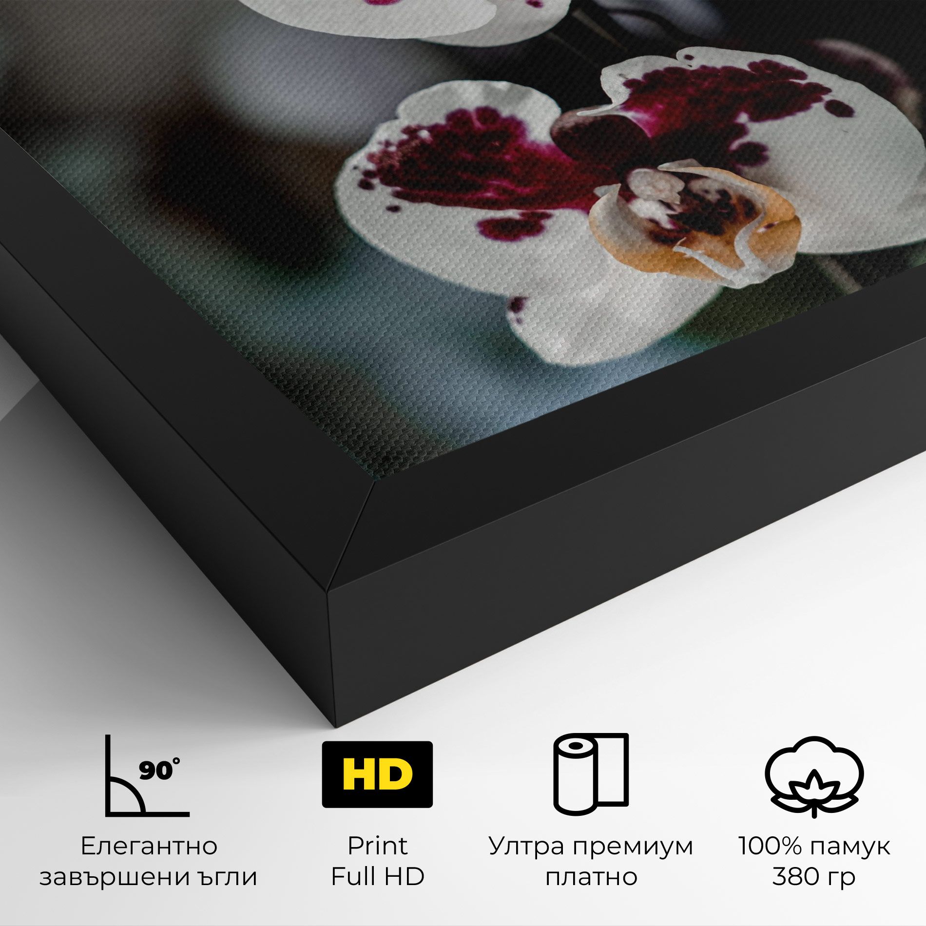 Dark Purple Orchid mockup 4