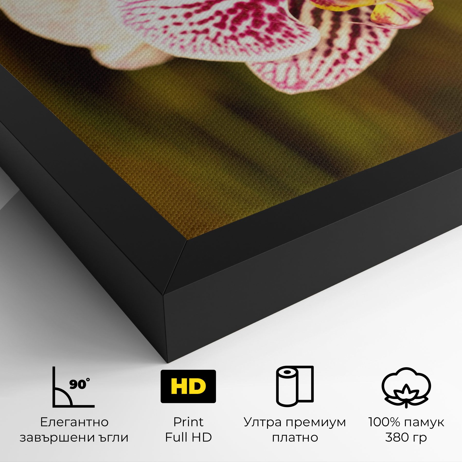 Garden Orchids mockup 4