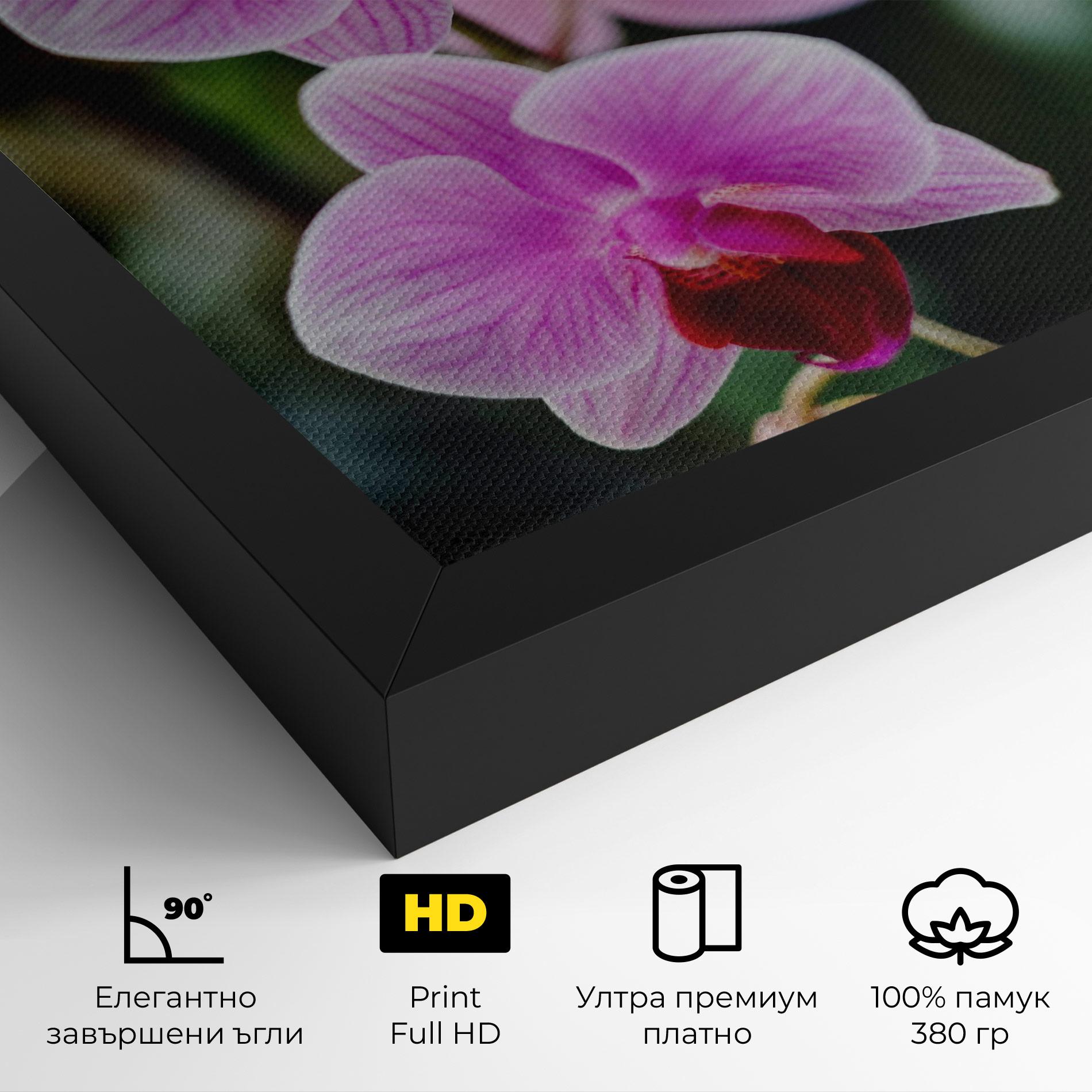 Картина на платно Garden Purple Orchids mockup 4