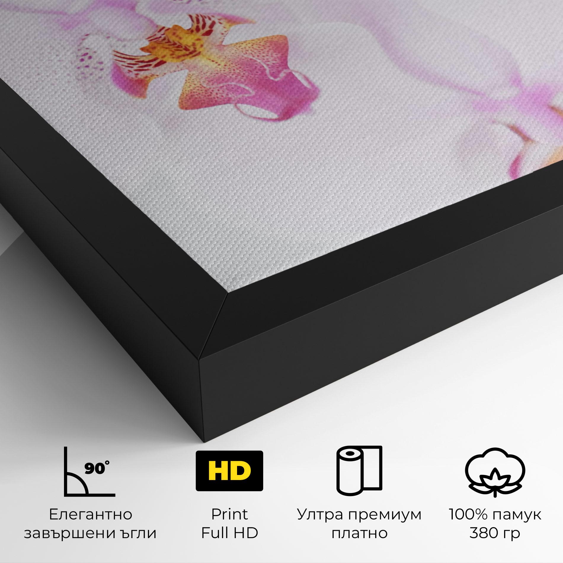 Картина на платно Light Purple Orchid mockup 4