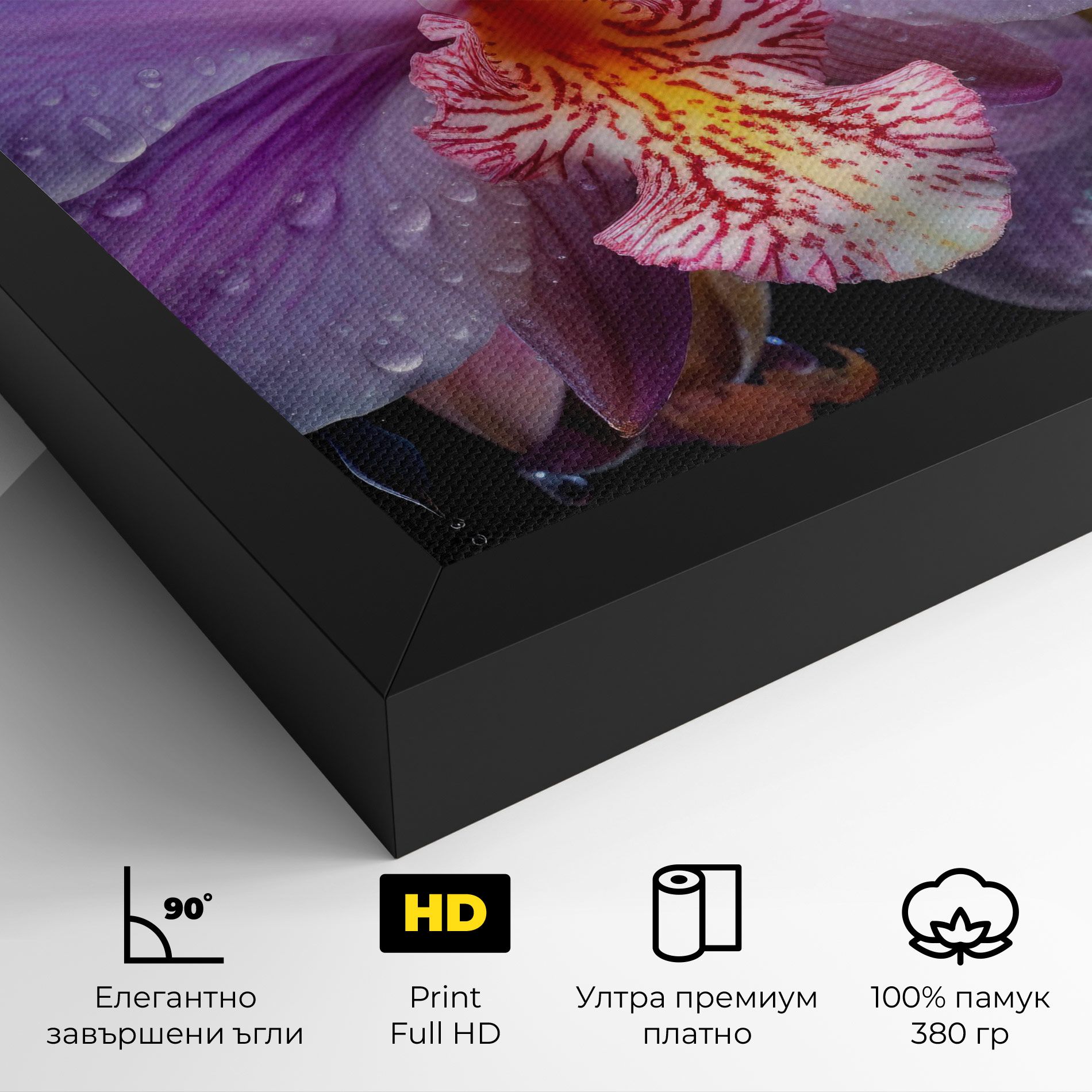 Orchid In Rain mockup 4
