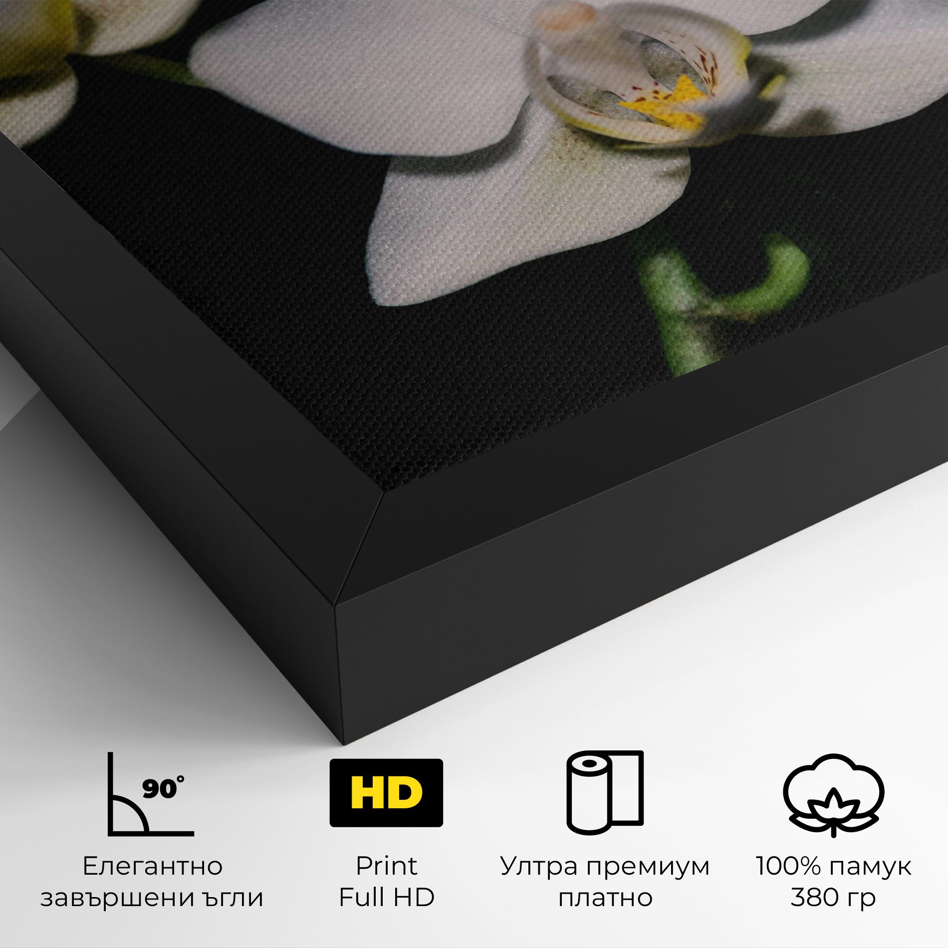 Orchids On Black mockup 4
