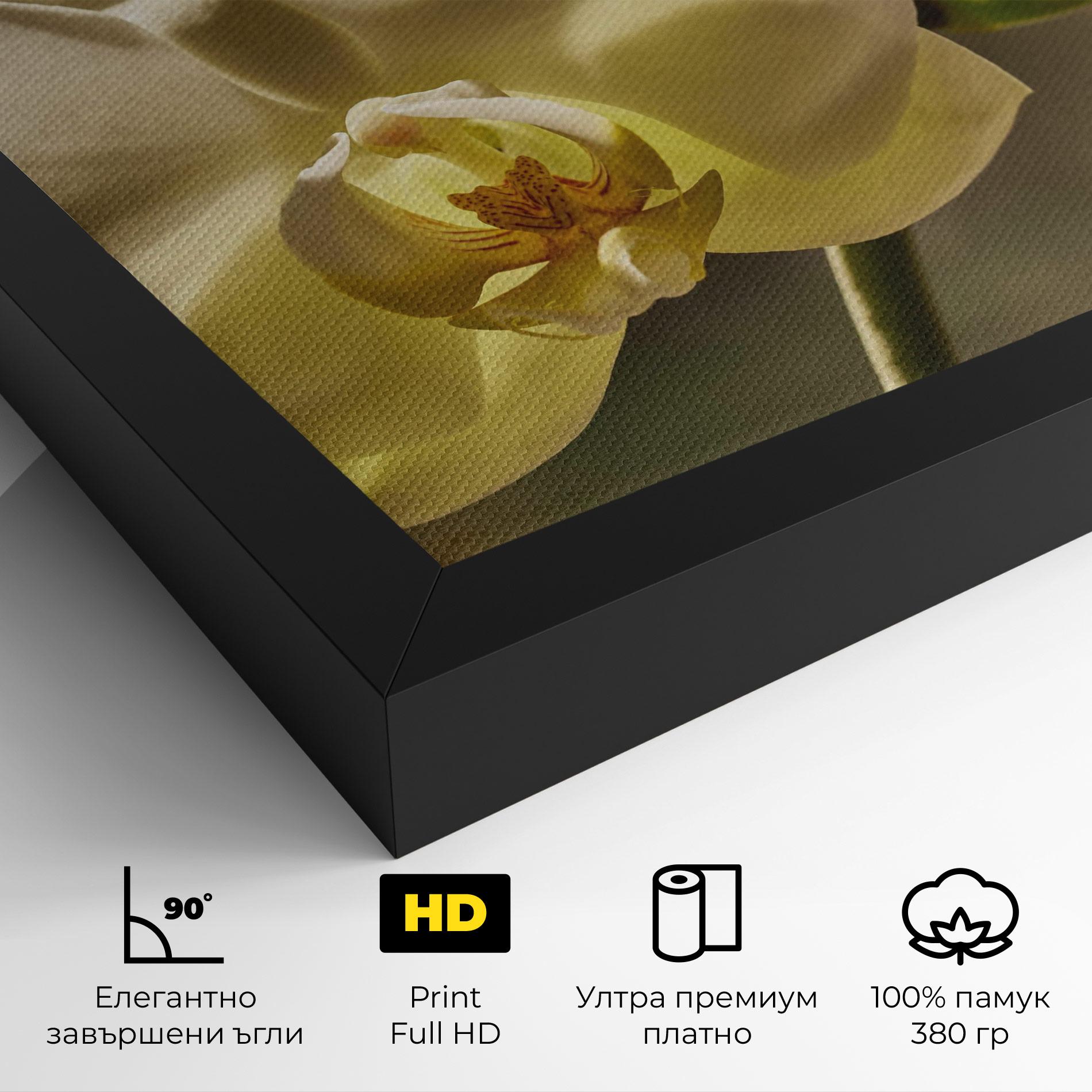 Картина на платно Pastel Yellow Orchid In Garden mockup 4
