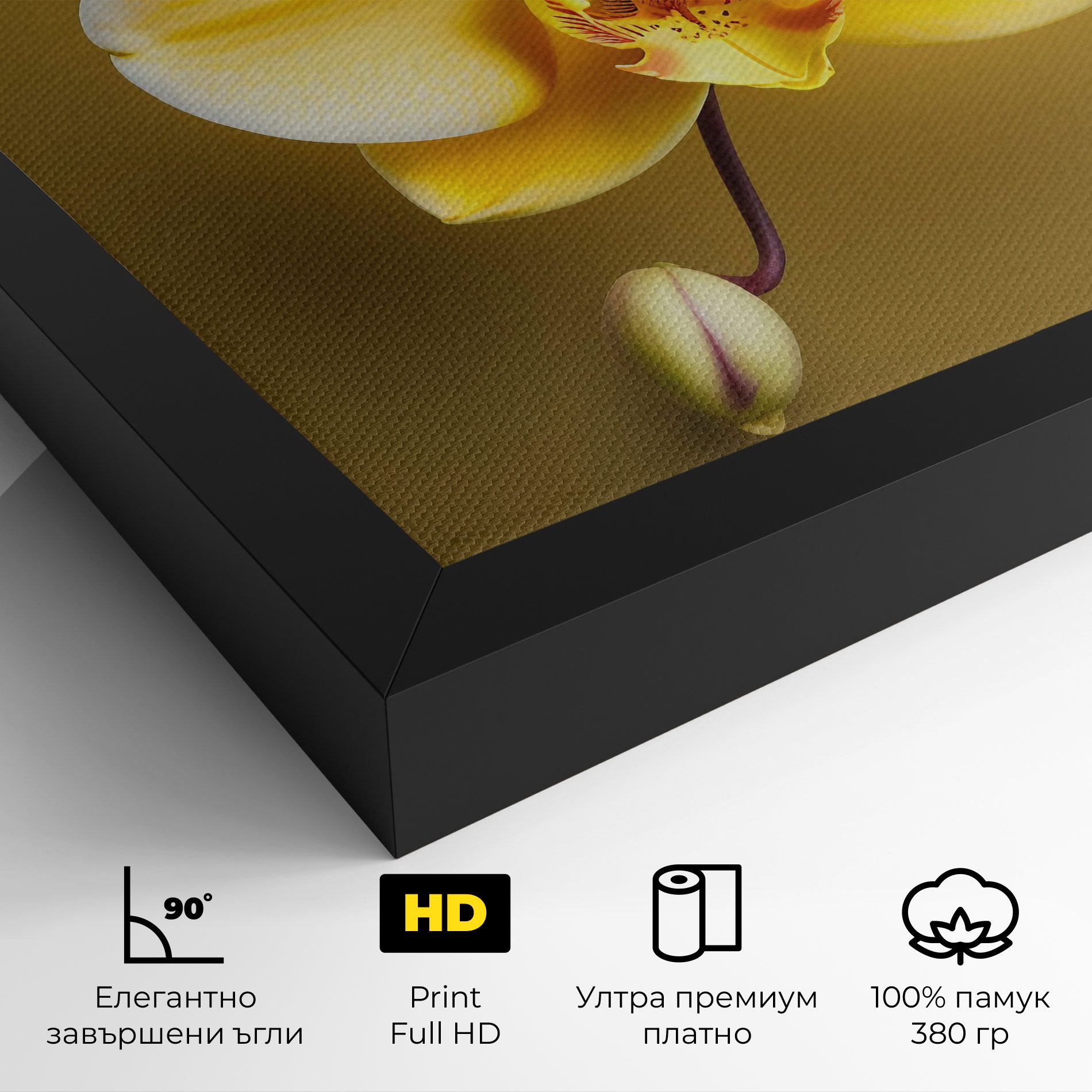 Pastel Yellow Orchid mockup 4