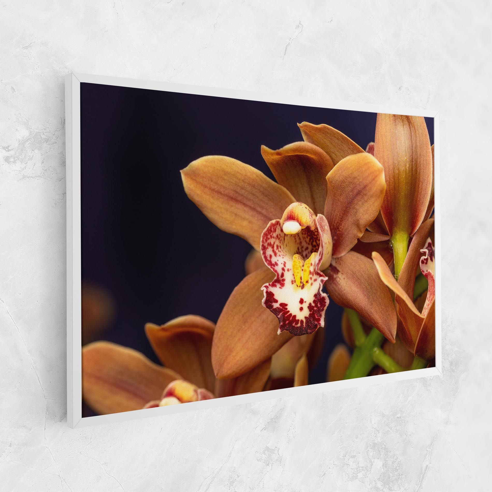 Dirty Orange Orchid mockup 1