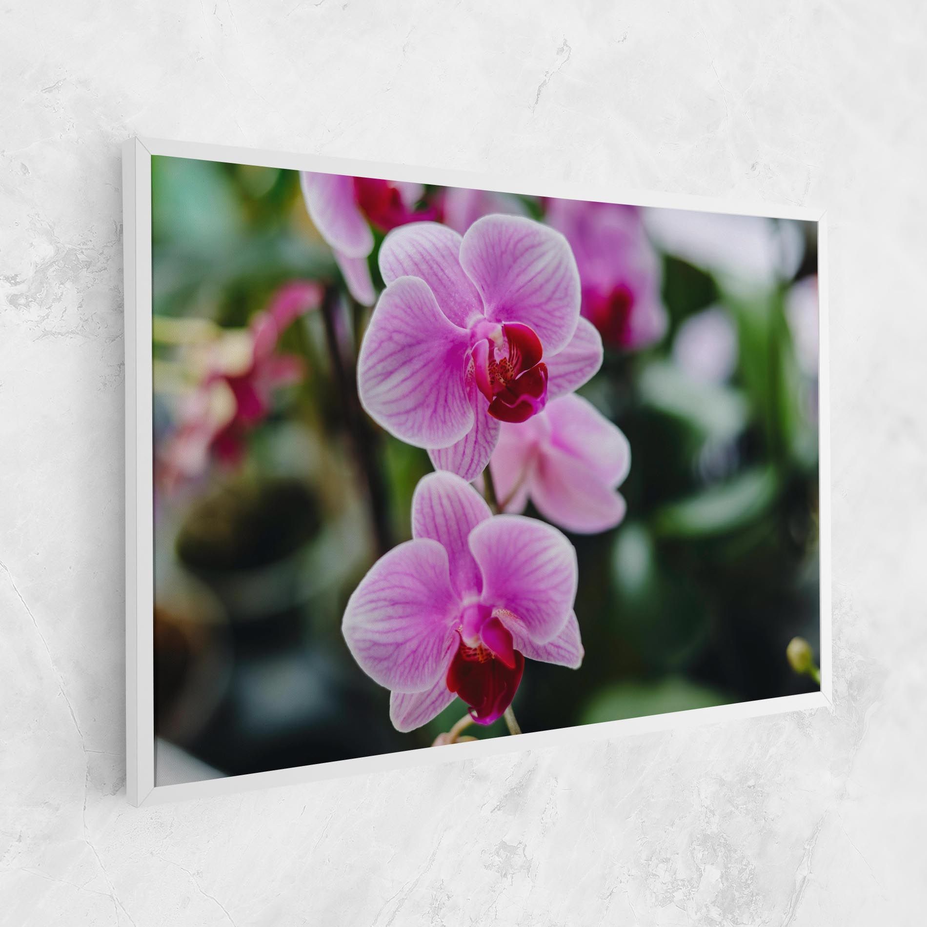 Garden Purple Orchids mockup 1