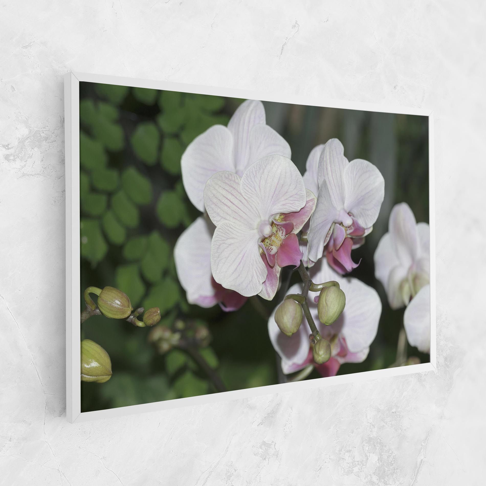 Orchid Botanical Garden mockup 1