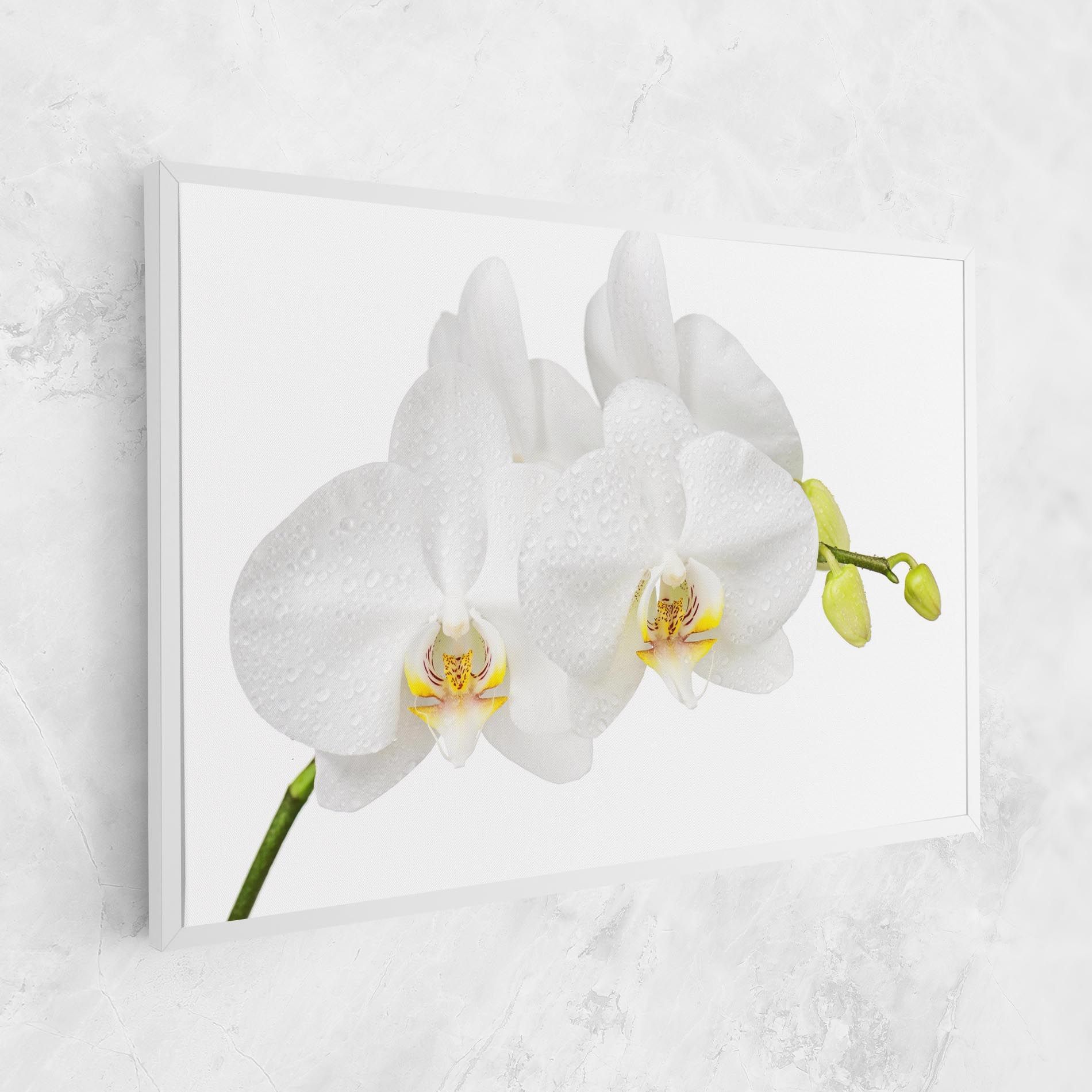 Orchids On White mockup 1