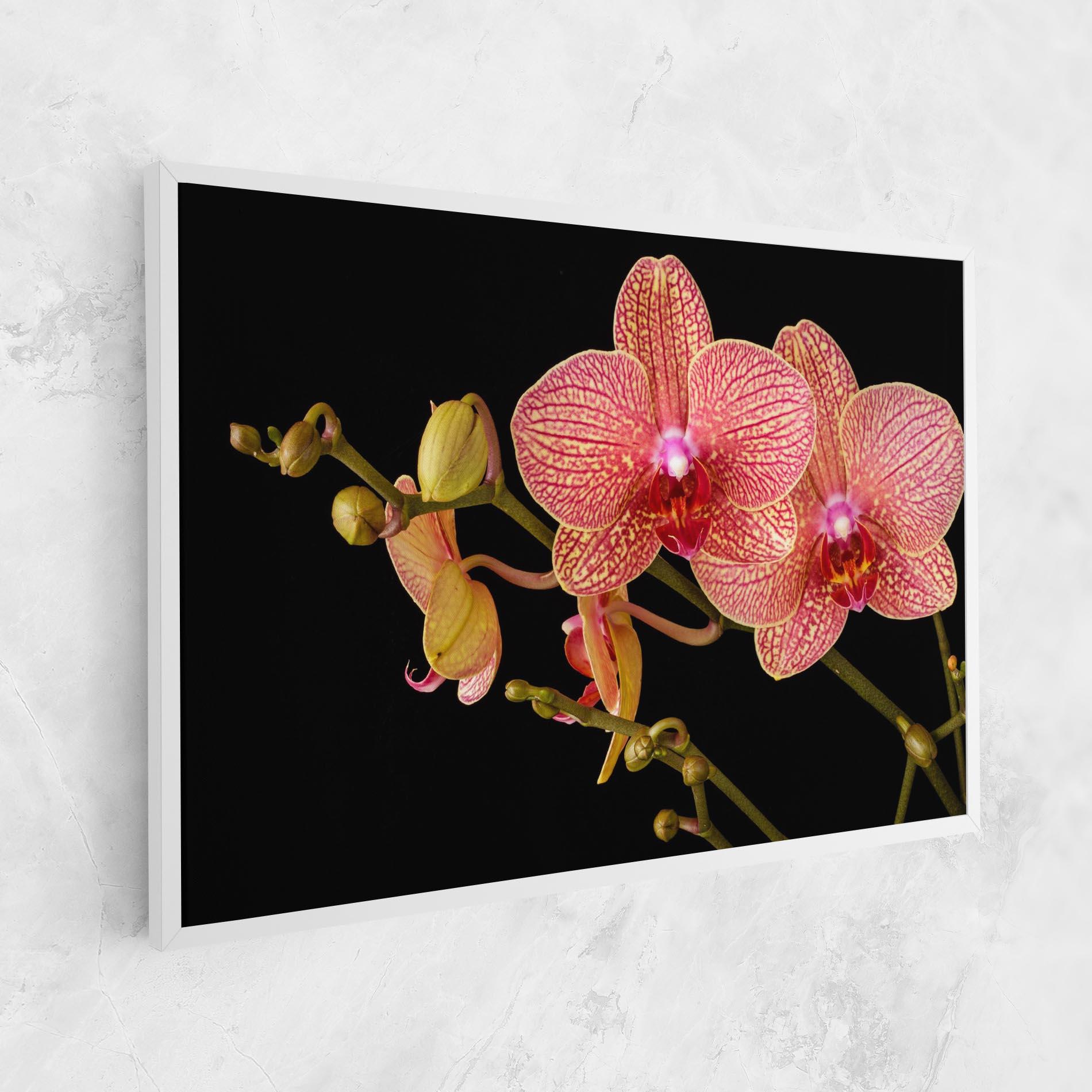 Картина на платно Pink Orchids On Black mockup 1