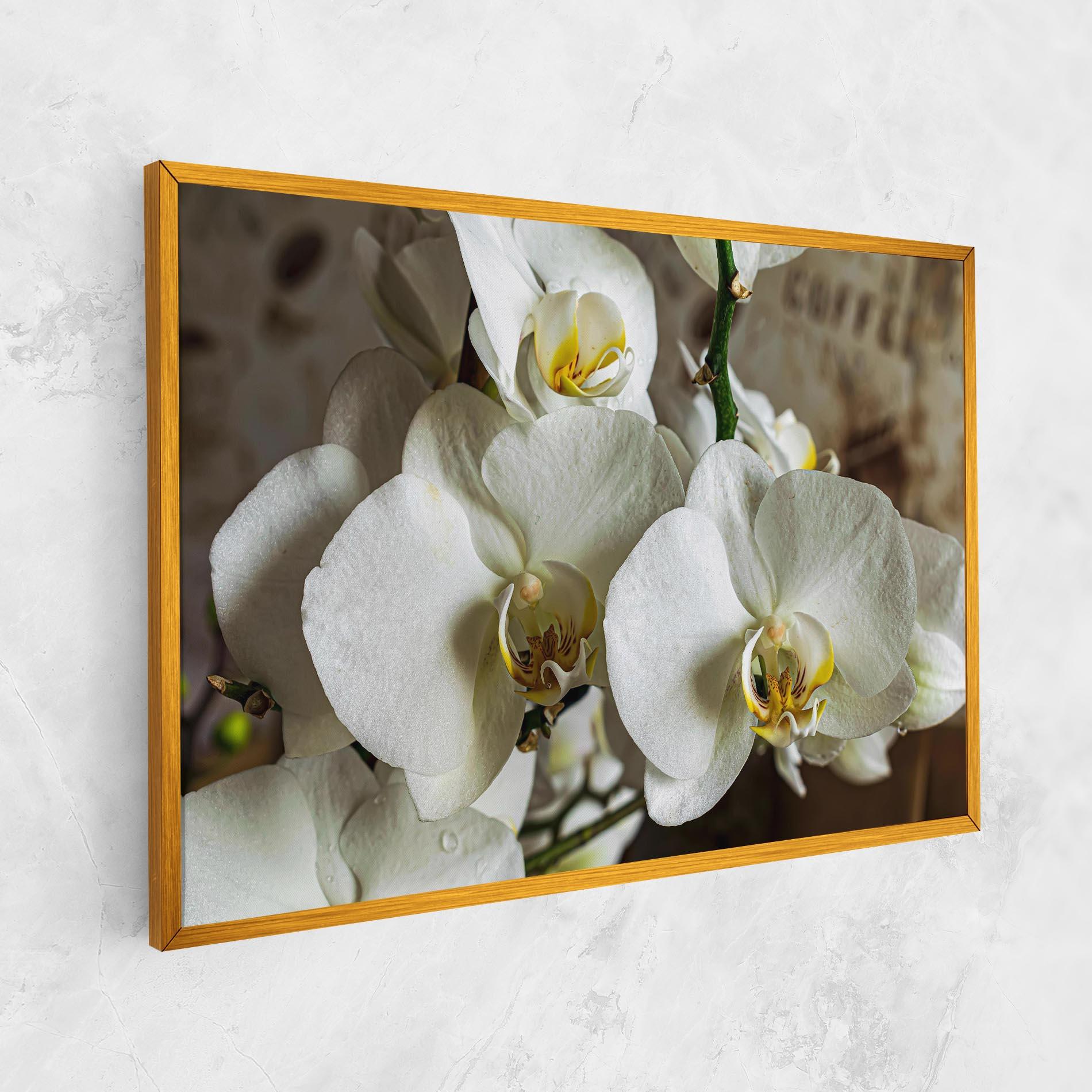 Картина на платно Beautiful White Orchids mockup 1