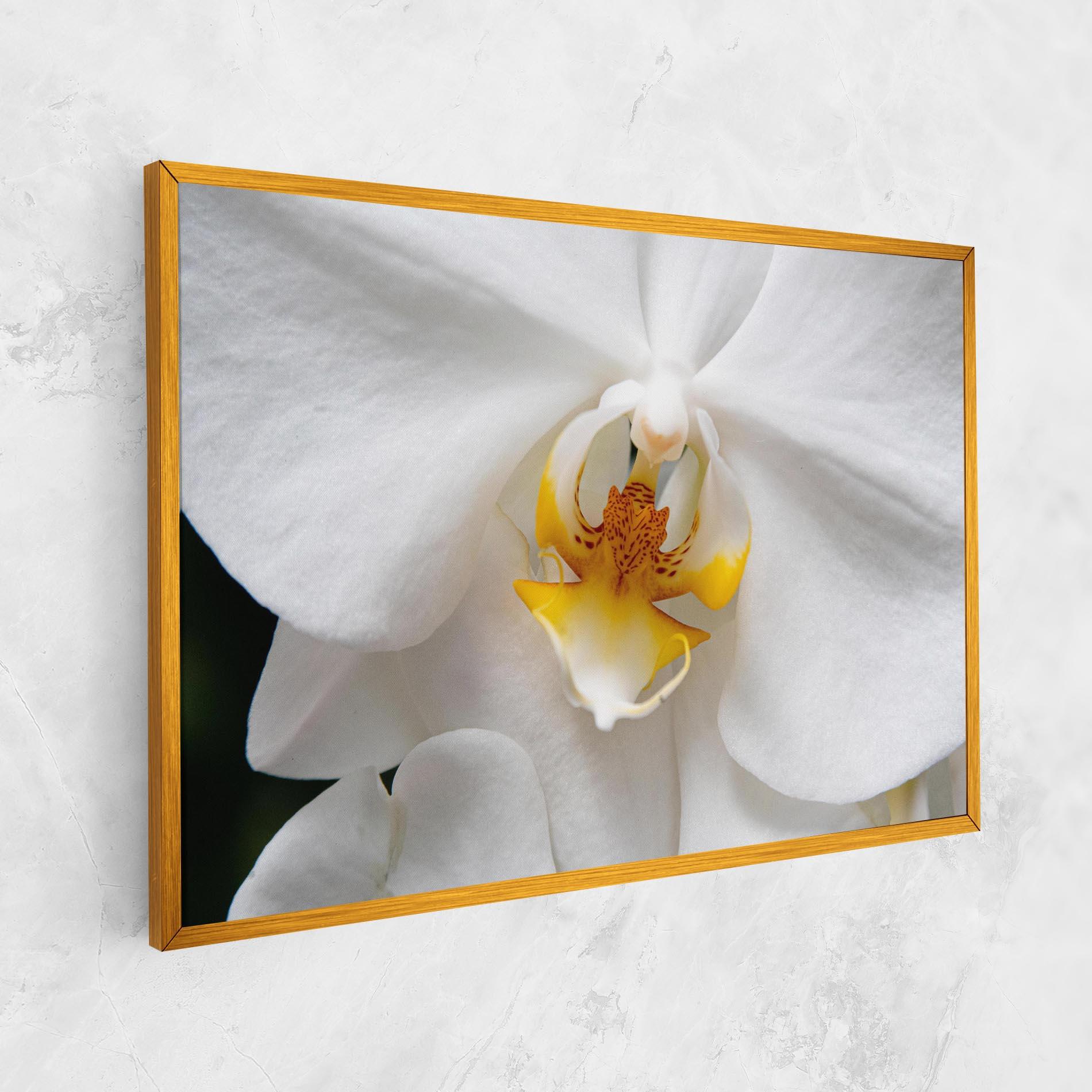 Картина на платно Big Orchid Close Up mockup 1