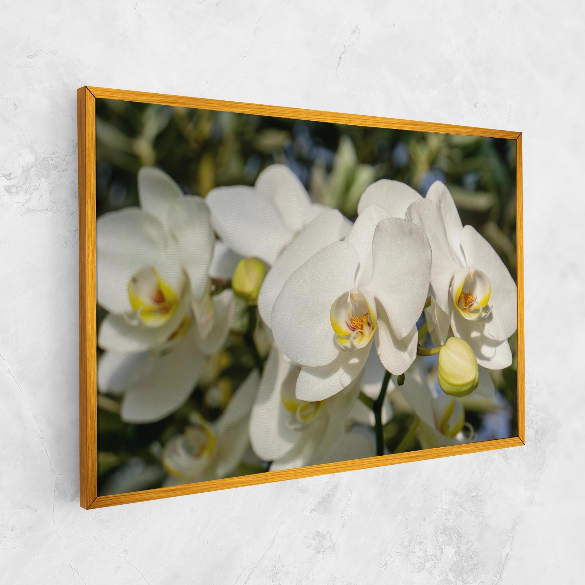 Картина на платно Big Orchids In Nature mockup 1