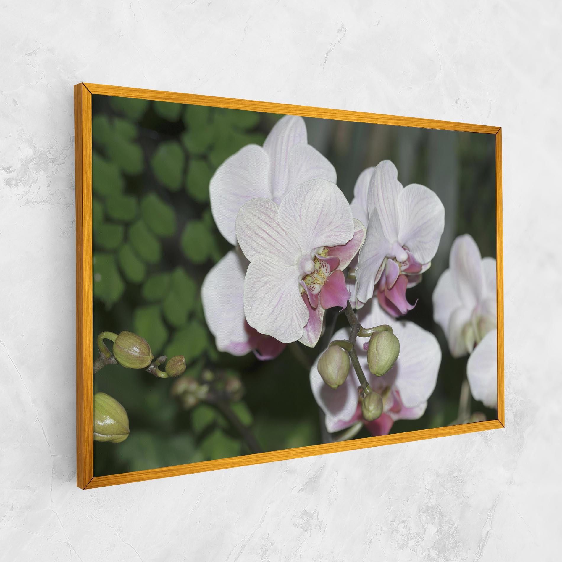 Картина на платно Orchid Botanical Garden mockup 1