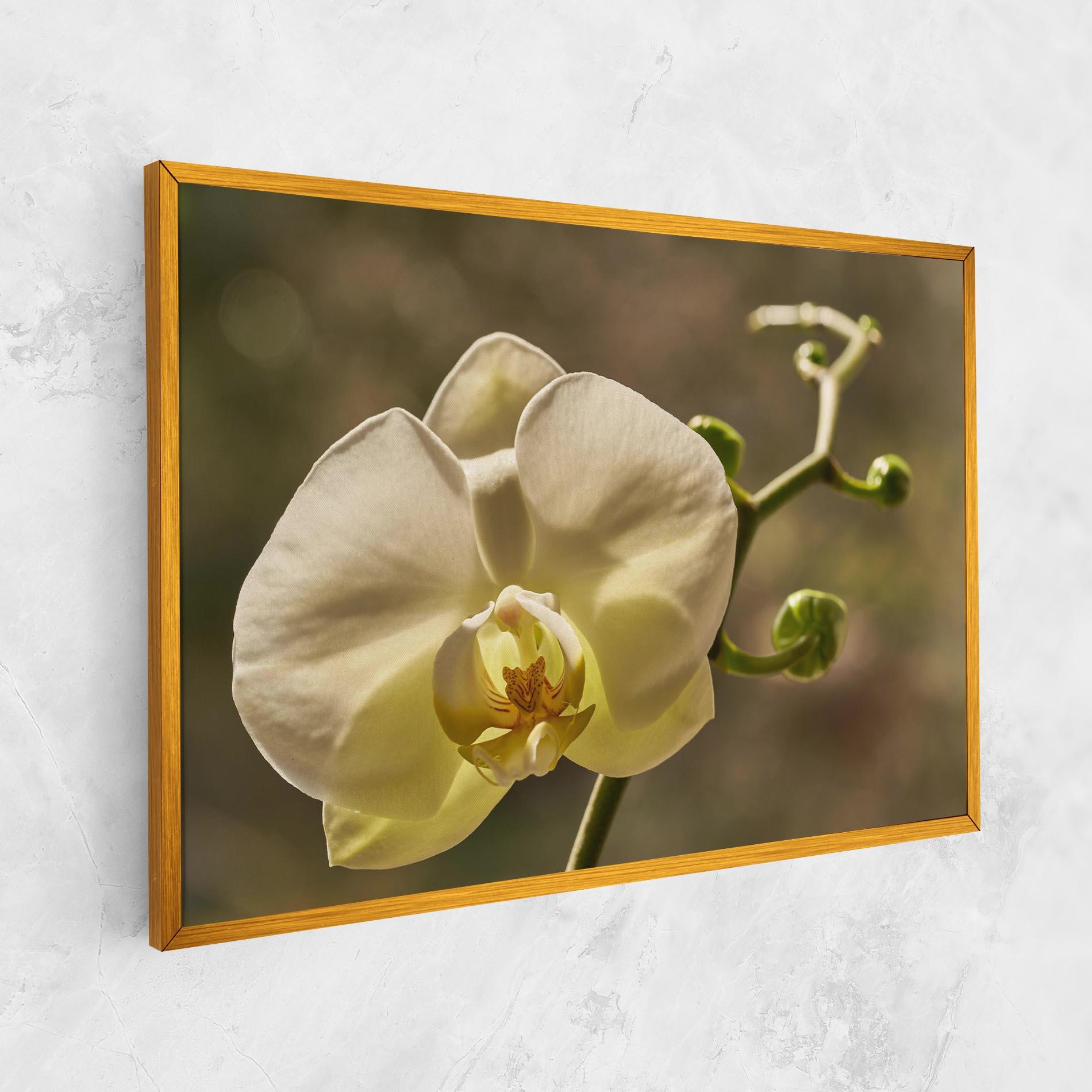 Картина на платно Pastel Yellow Orchid In Garden mockup 1