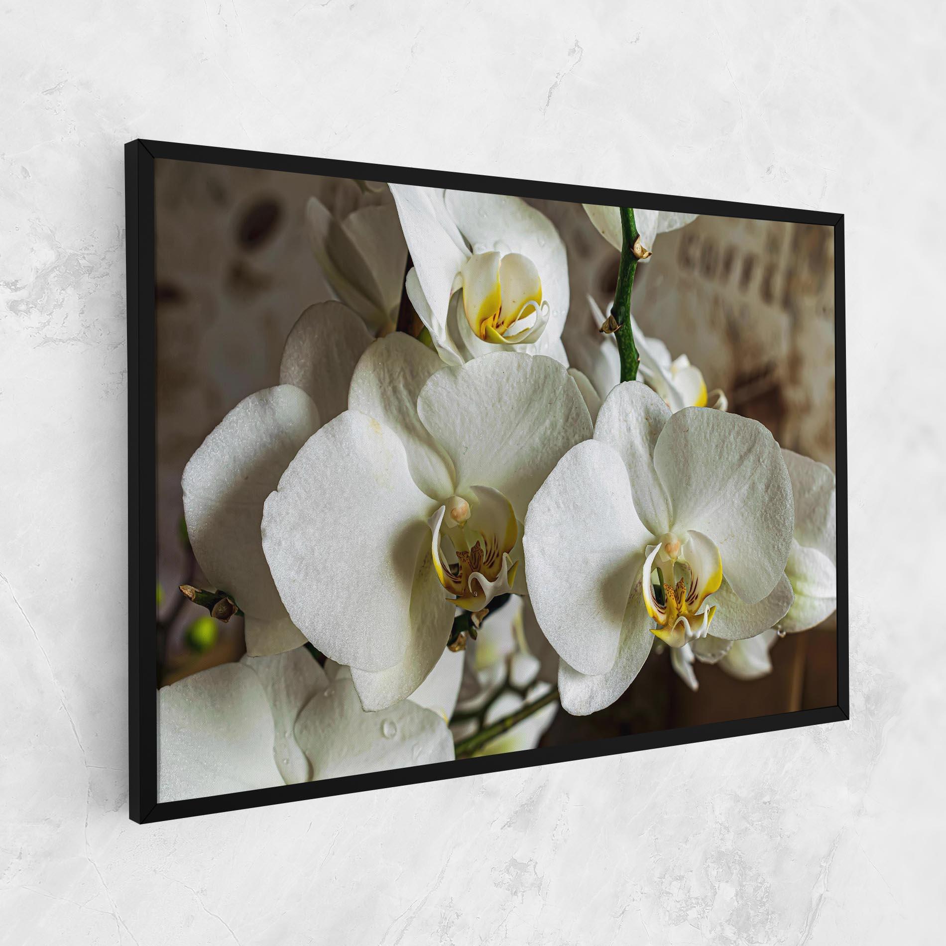 Картина на платно Beautiful White Orchids mockup 1