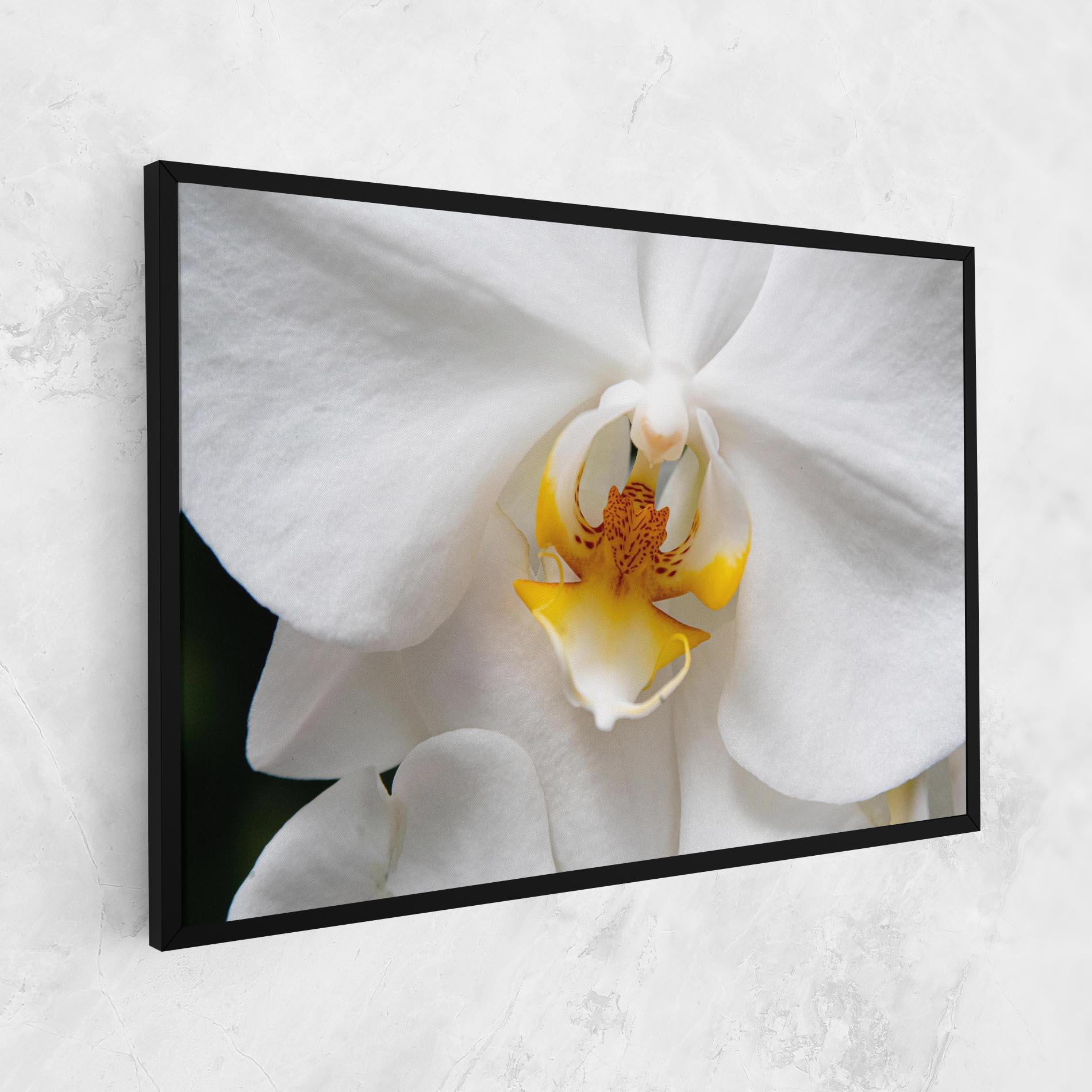 Картина на платно Big Orchid Close Up mockup 1