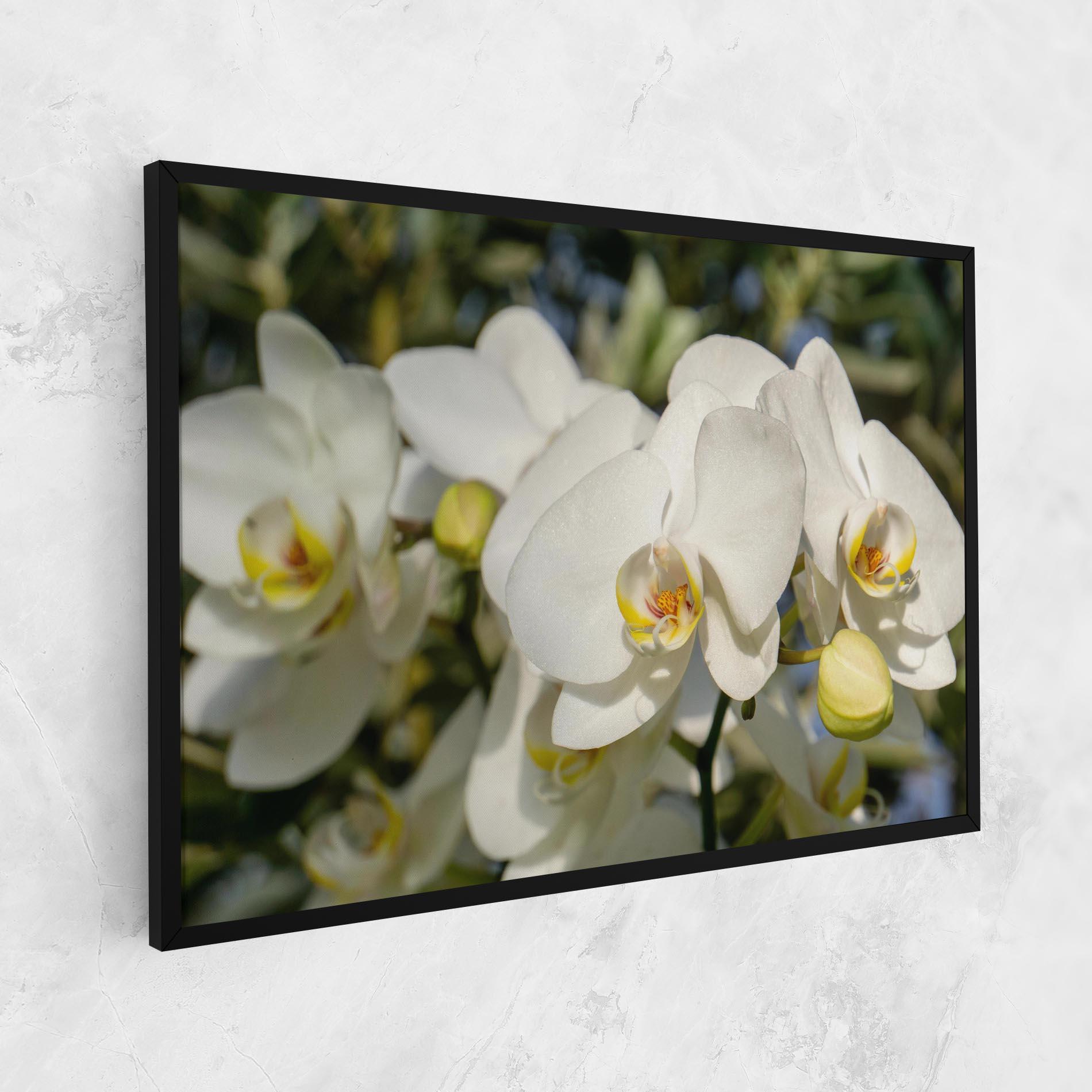 Картина на платно Big Orchids In Nature mockup 1