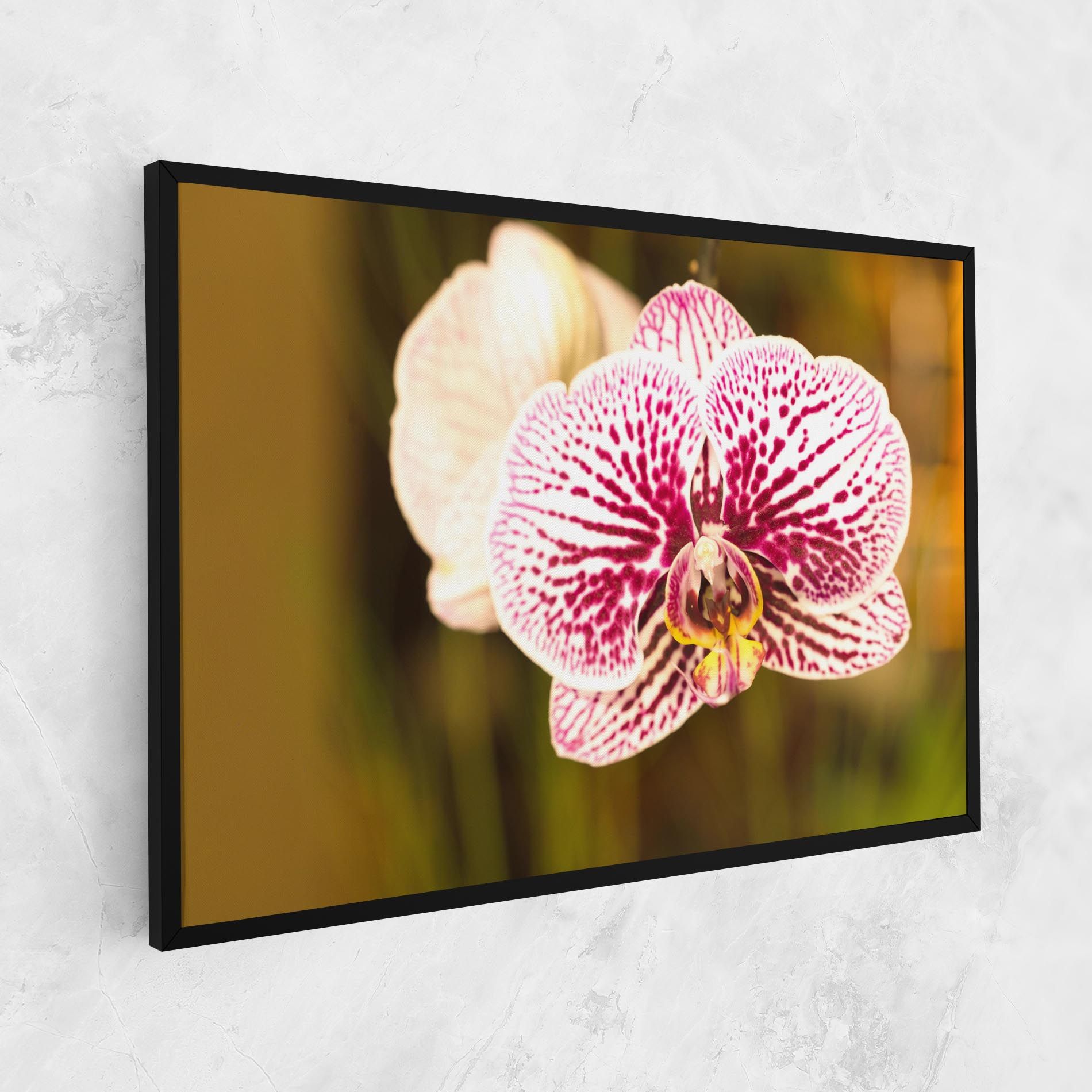 Garden Orchids mockup 1