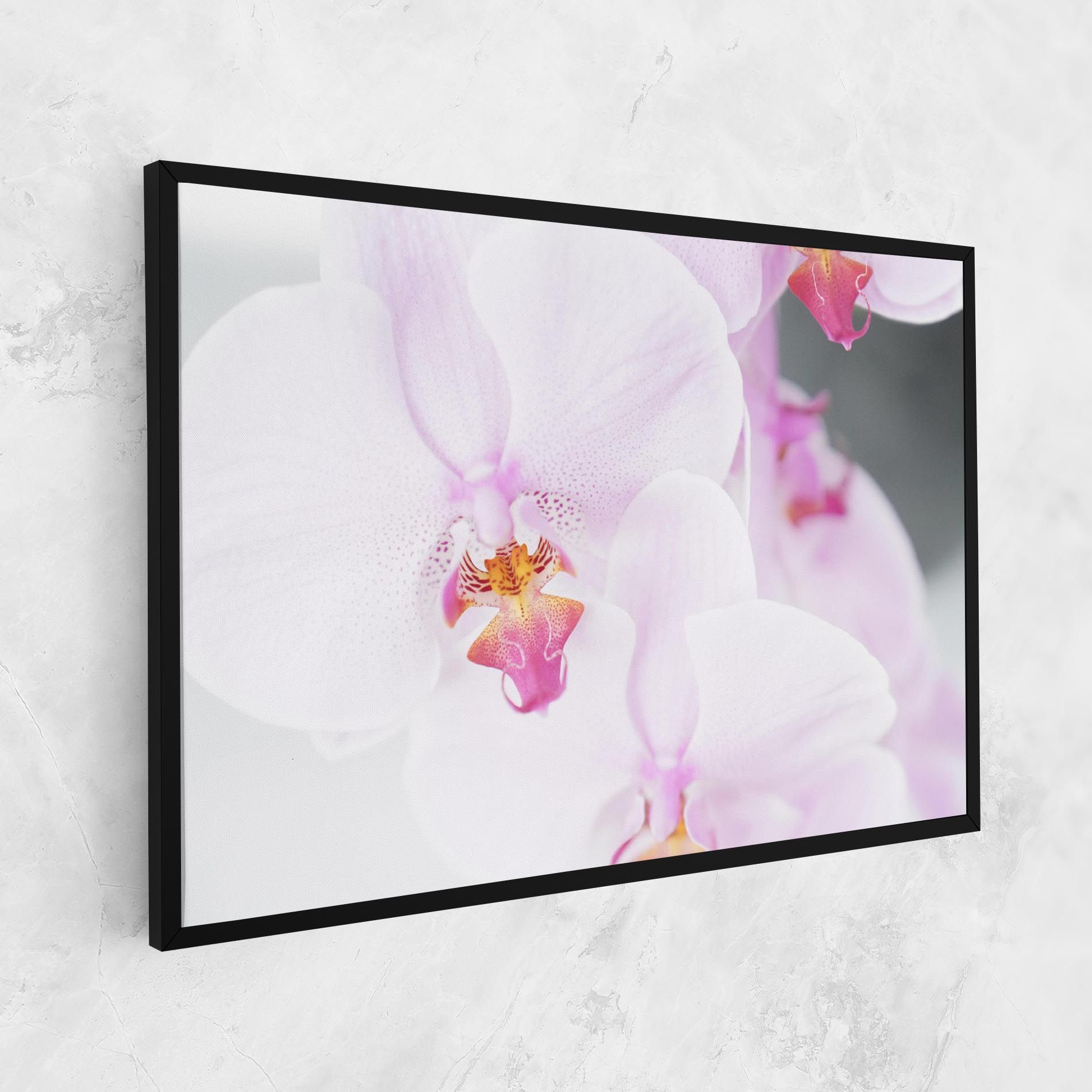 Light Purple Orchid mockup 1