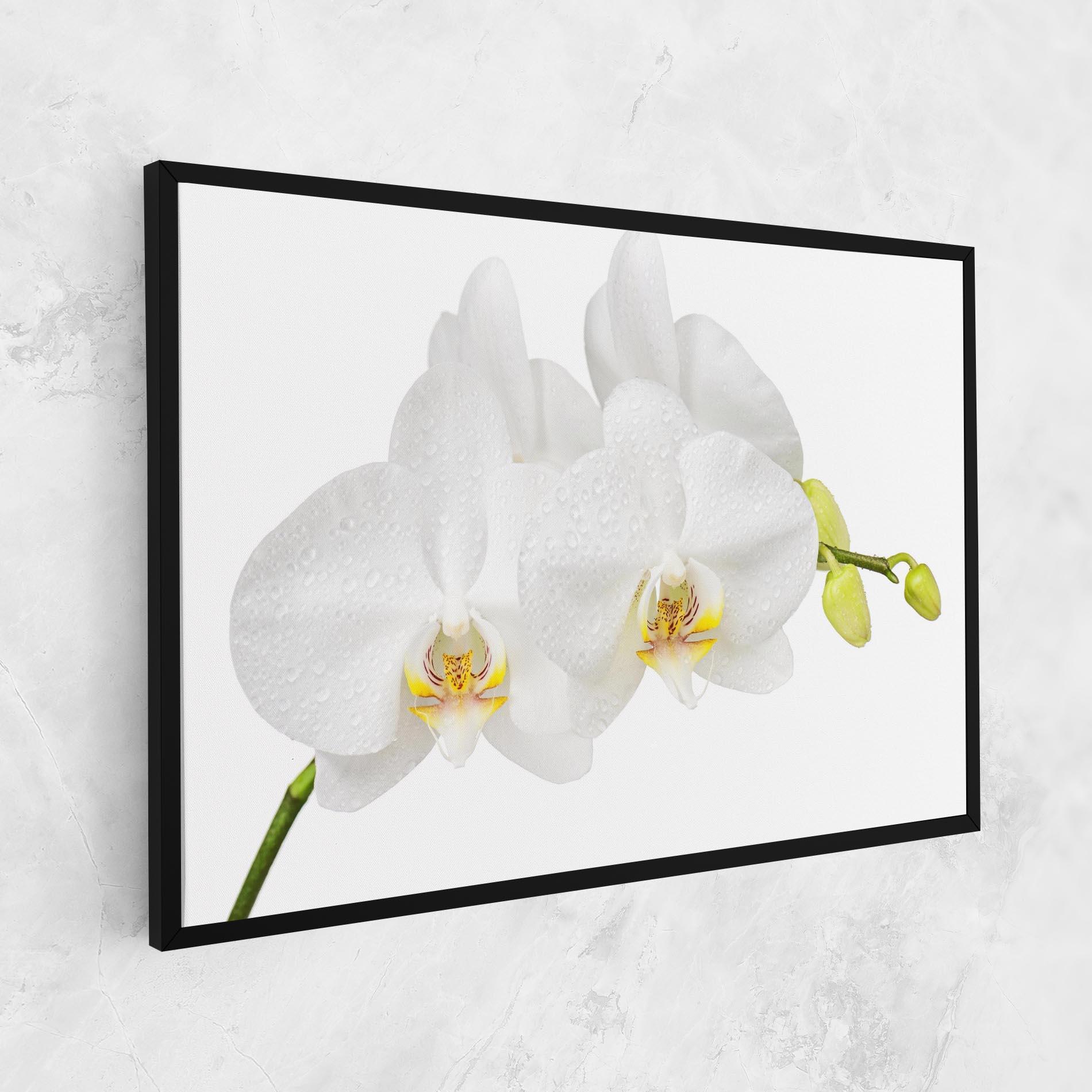 Картина на платно Orchids On White mockup 1