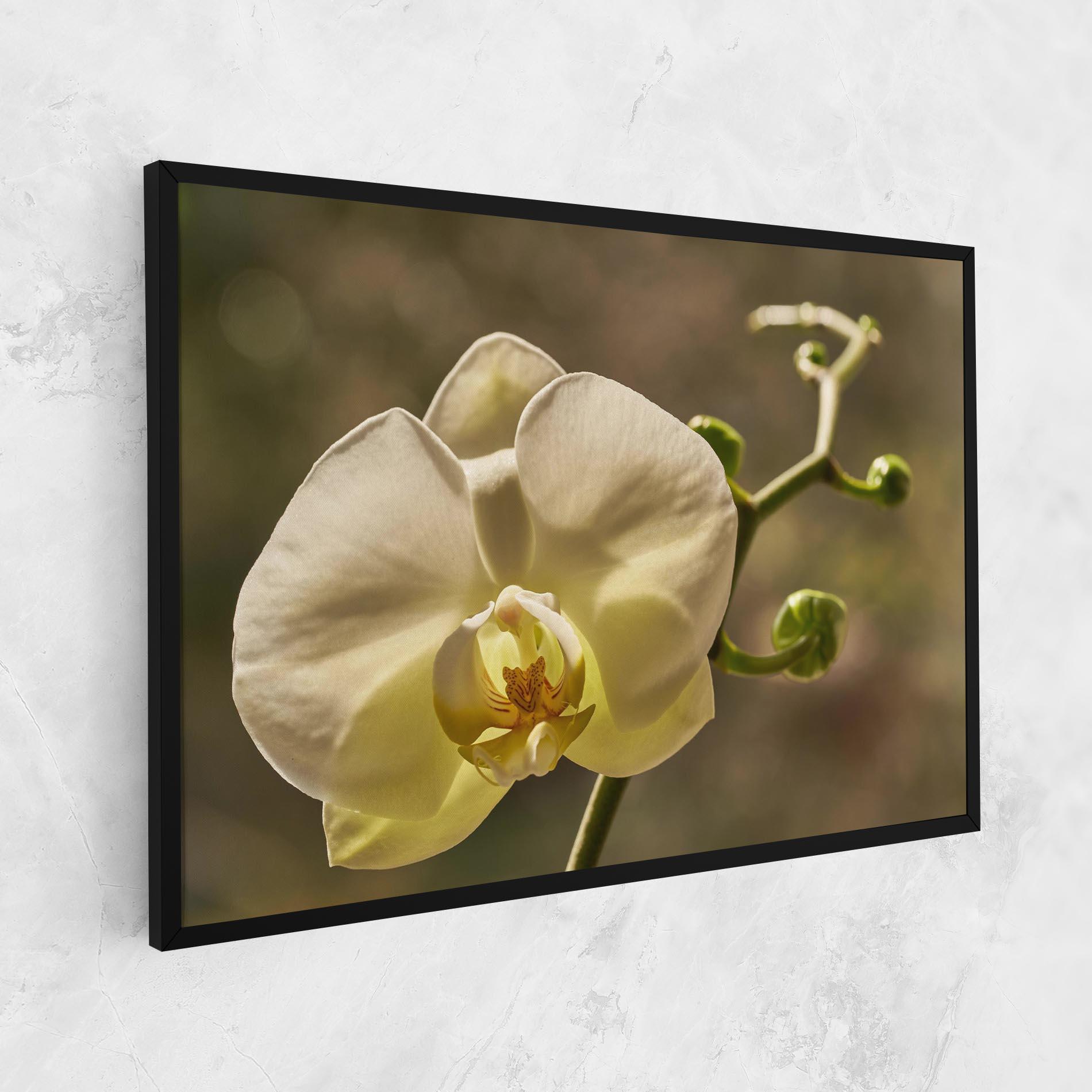 Картина на платно Pastel Yellow Orchid In Garden mockup 1